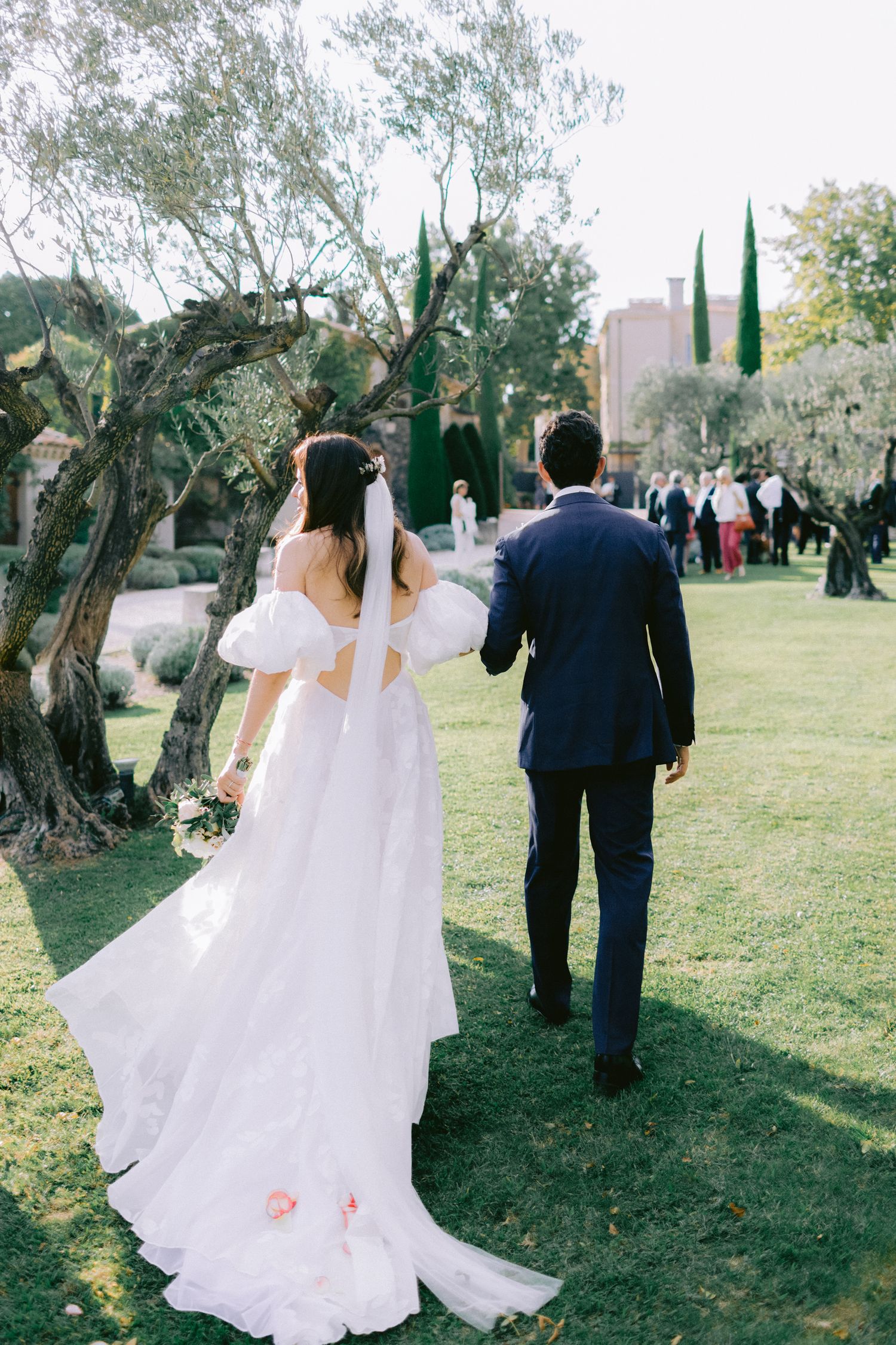 Wedding party walking through a garden path lined with olive trees and cypress.