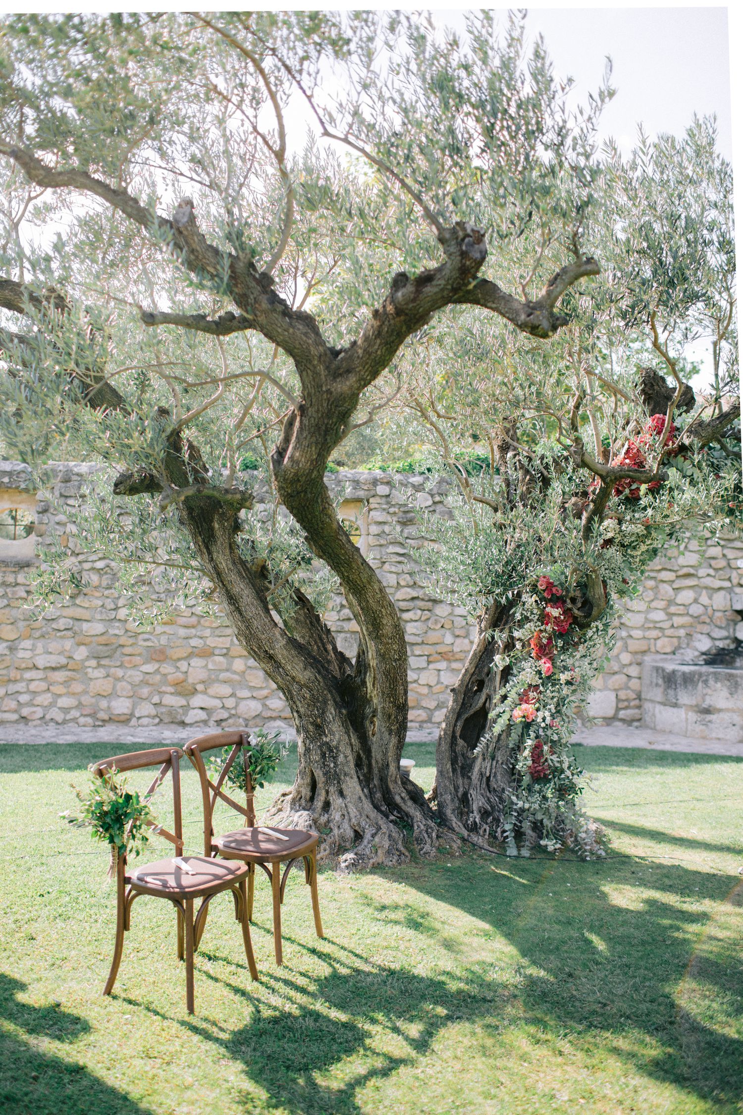 Rustic wooden chairs arranged under a gnarled olive tree against an old stone wall.