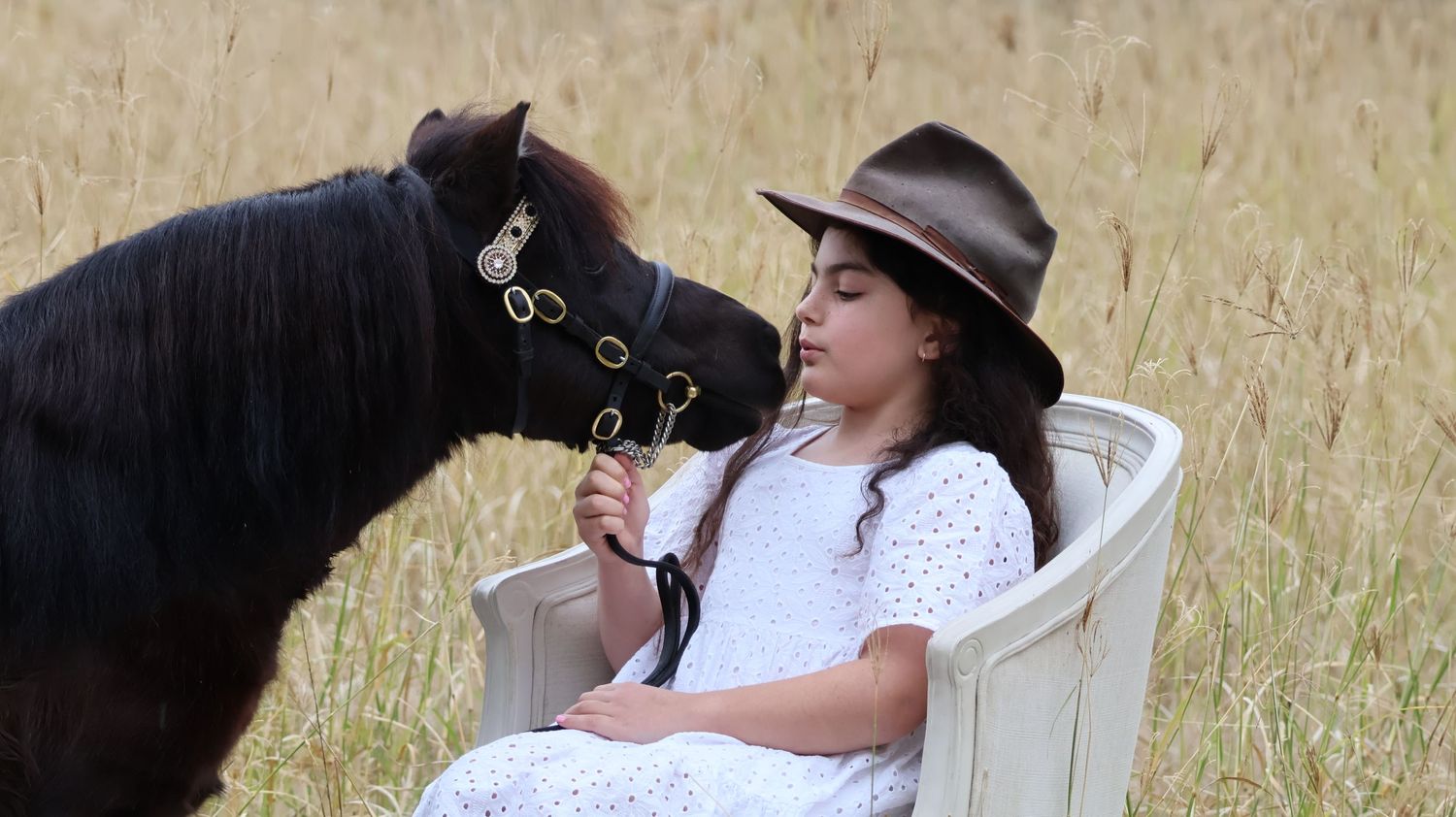 A sweet interaction between a small black pony and someone relaxing in a white chair.