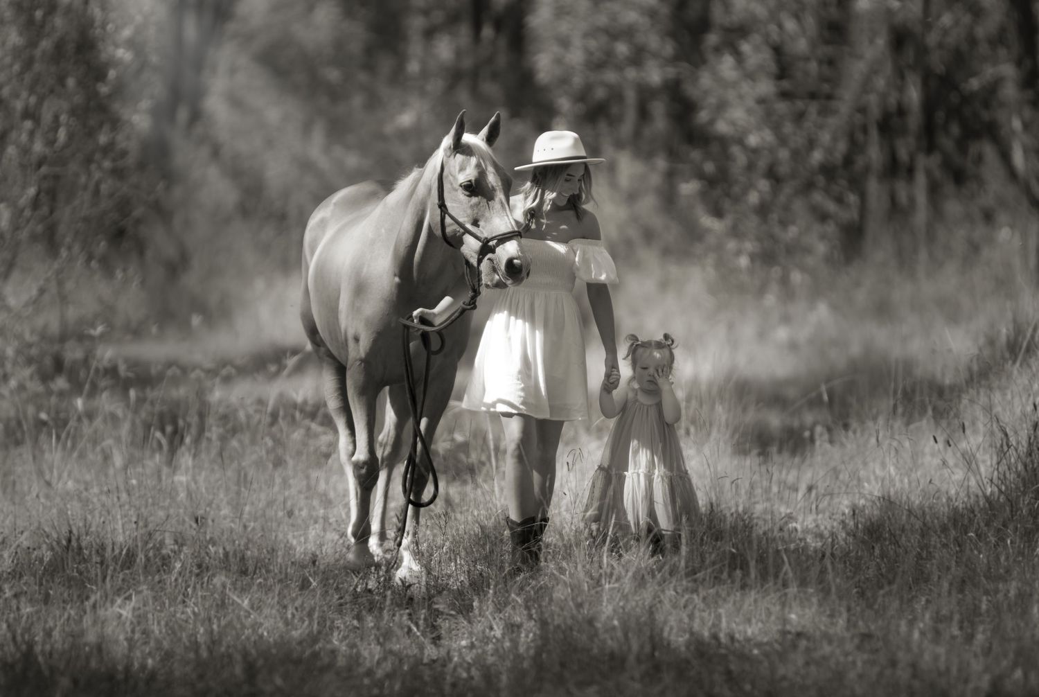Black and white photo of figure with horse and dog walking through misty field.