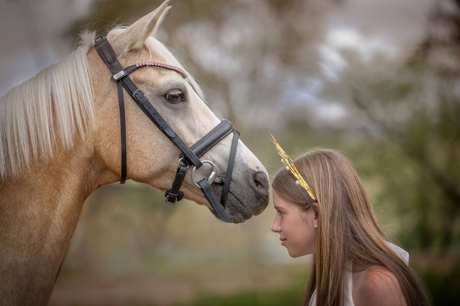 A horse and companion share a tender moment in a sunlit outdoor setting.