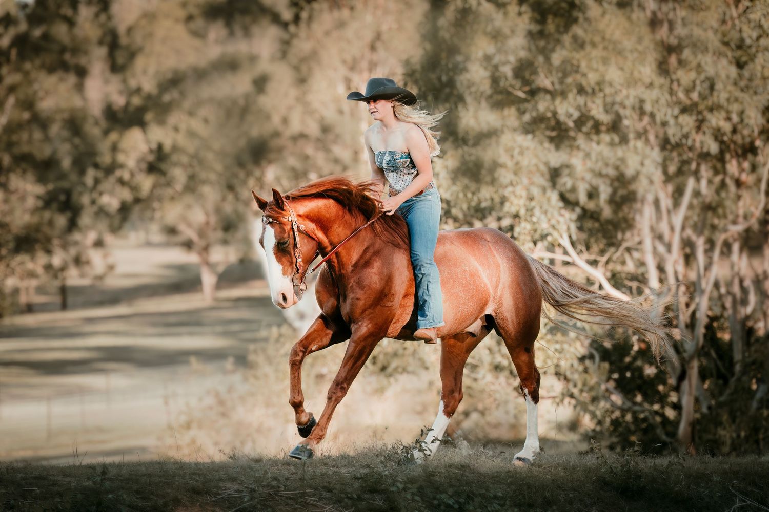 Equestrian riding chestnut horse along scenic wooded trail.