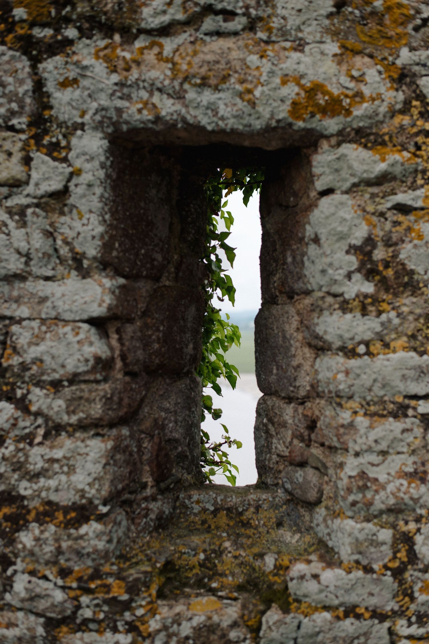 Ancient stone castle wall with narrow arrow slit window revealing green foliage and sky beyond.