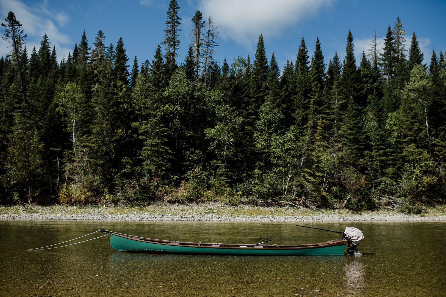 A green canoe rests along a calm river shore surrounded by dense evergreen forest under a blue sky.