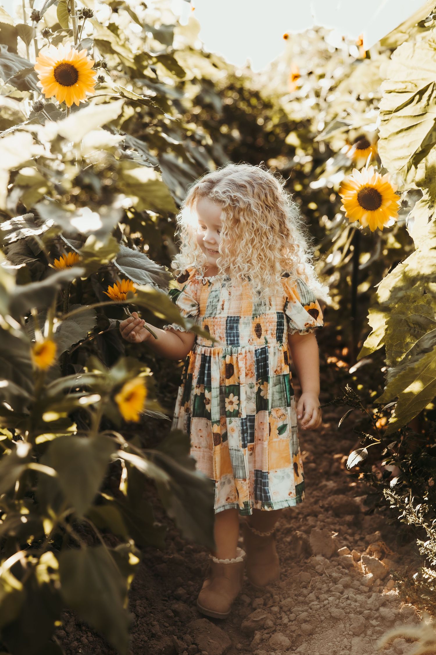 Child wearing a unique money-covered dress stands among blooming sunflowers in golden light.