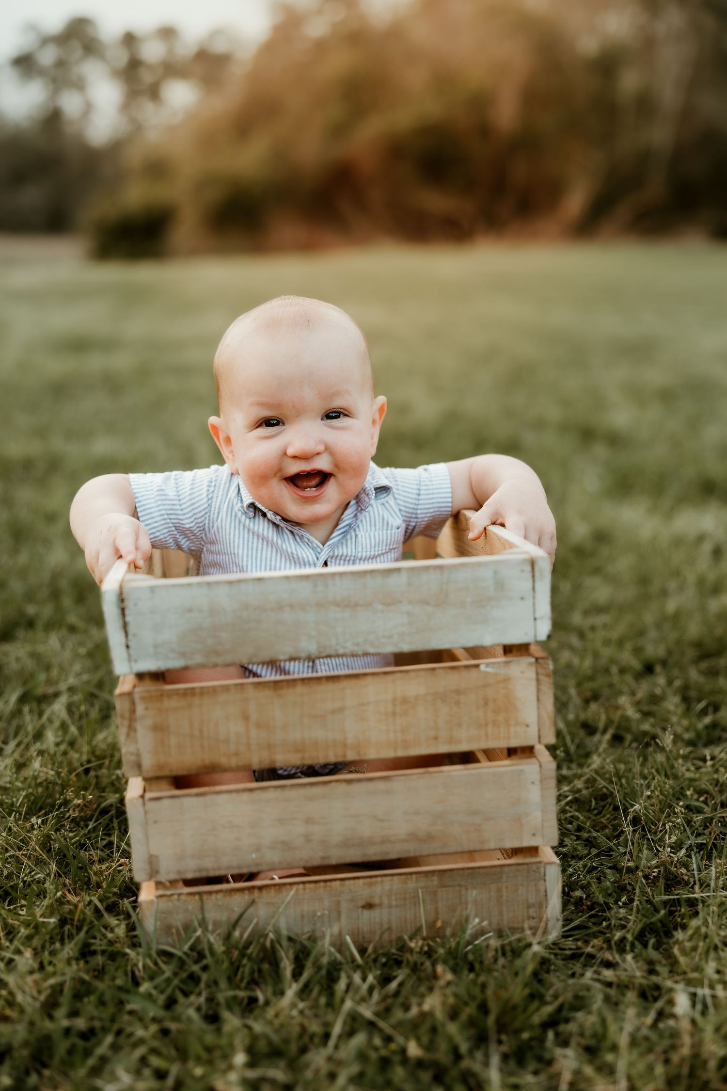 A joyful baby wearing a striped shirt sits inside a rustic wooden crate on green grass during golden hour.