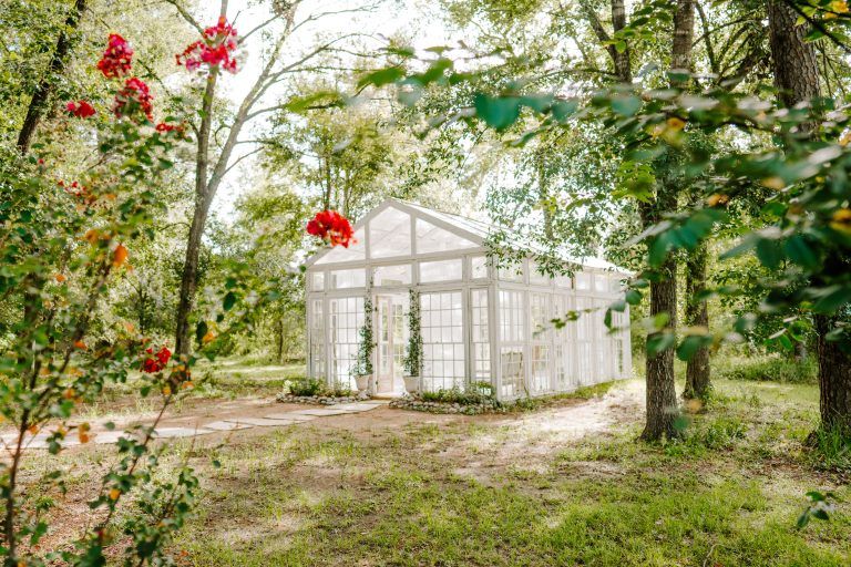 White greenhouse surrounded by lush green trees and red berry branches in a serene woodland garden setting.