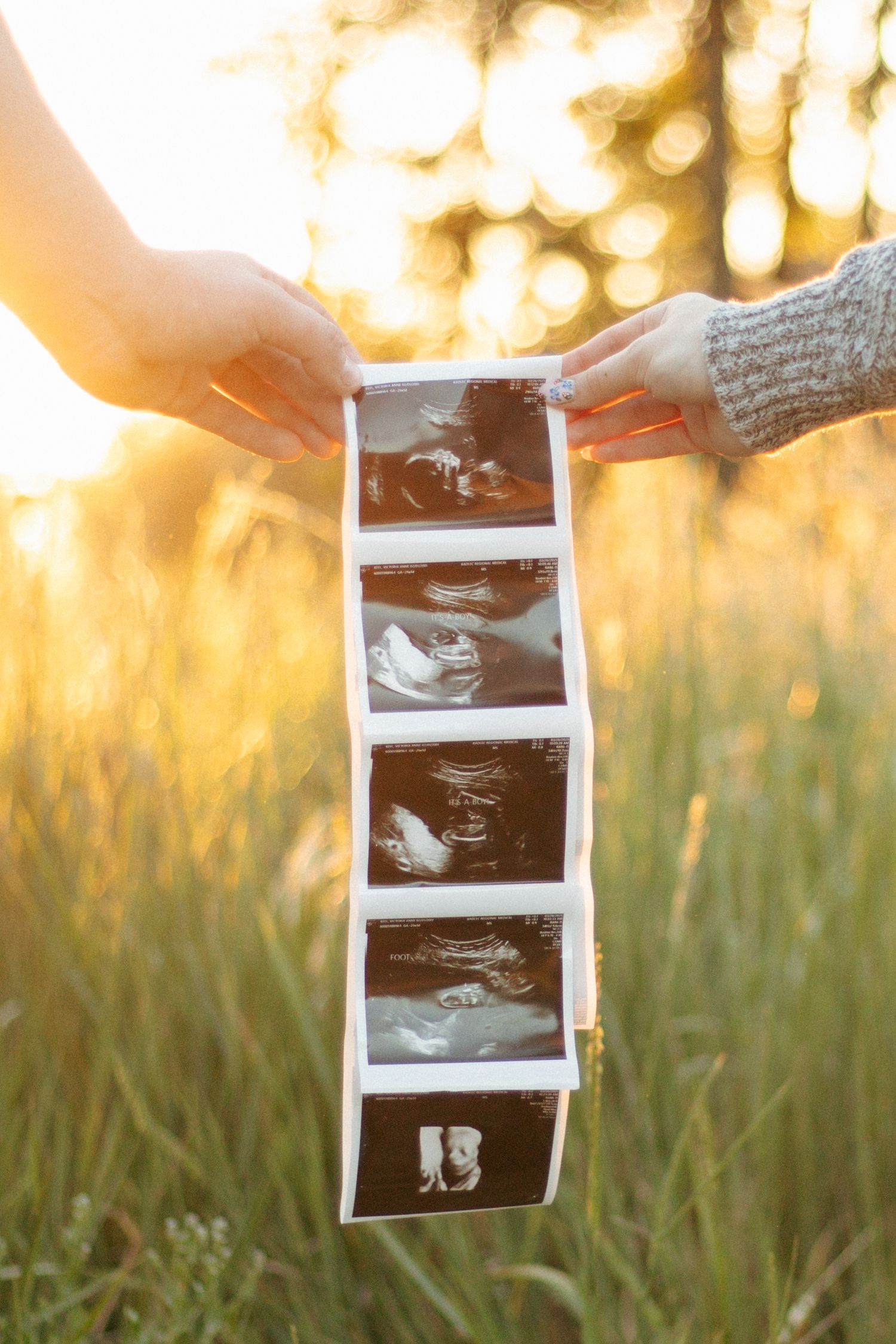A hand holds ultrasound photos against a golden sunset background with tall grass silhouettes.