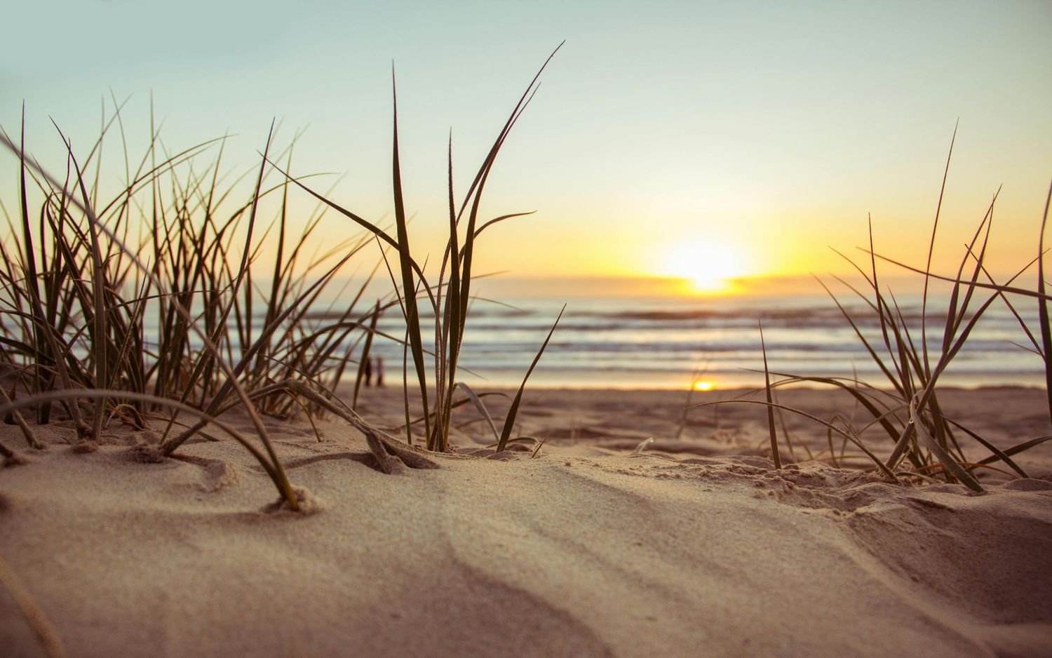 Close-up Panama City Beach photo with waves and sand used as background image on photography portfolio page.