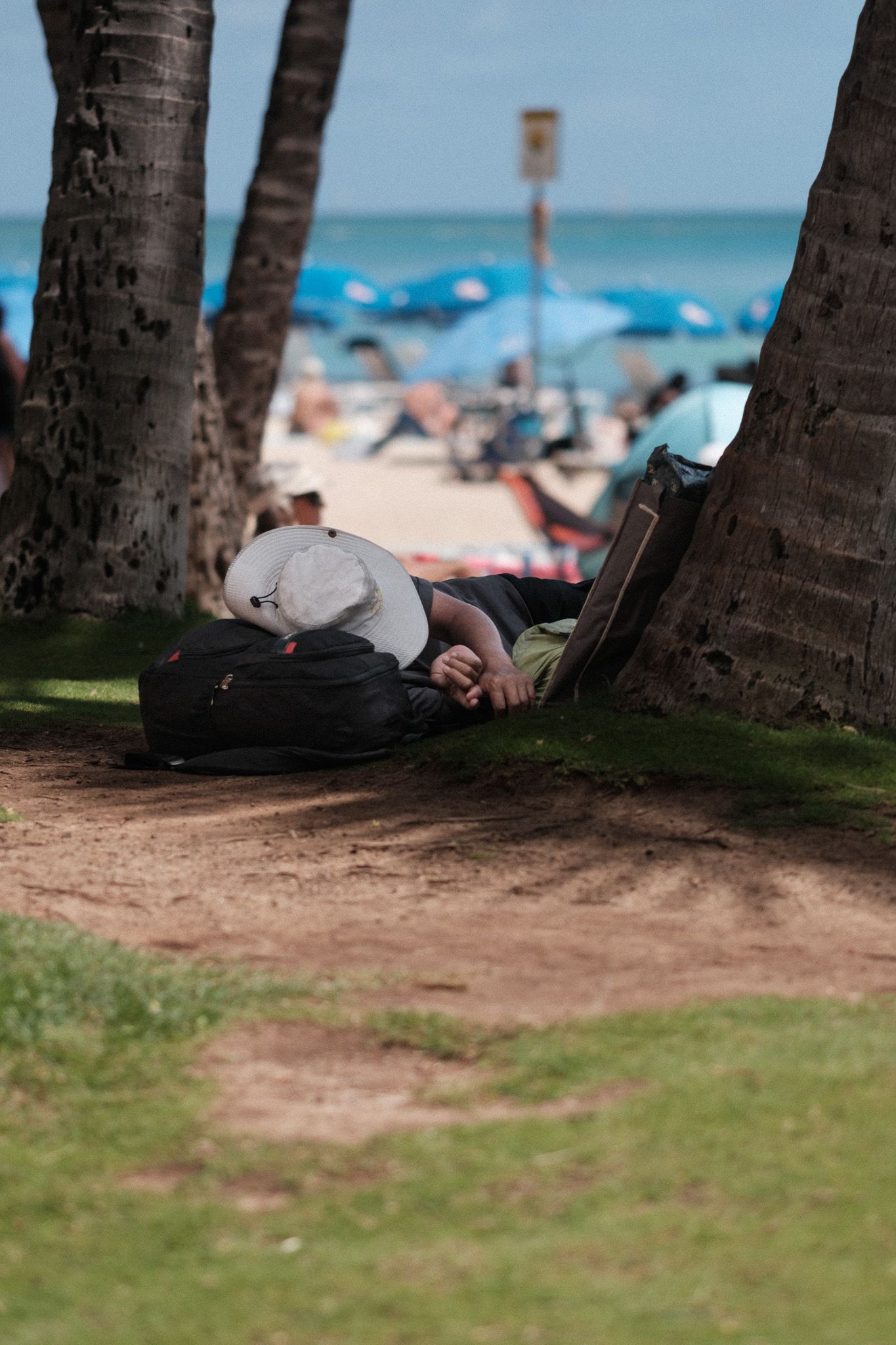 A person naps between palm trees on a beach with suitcase nearby and blue ocean umbrellas in the background.