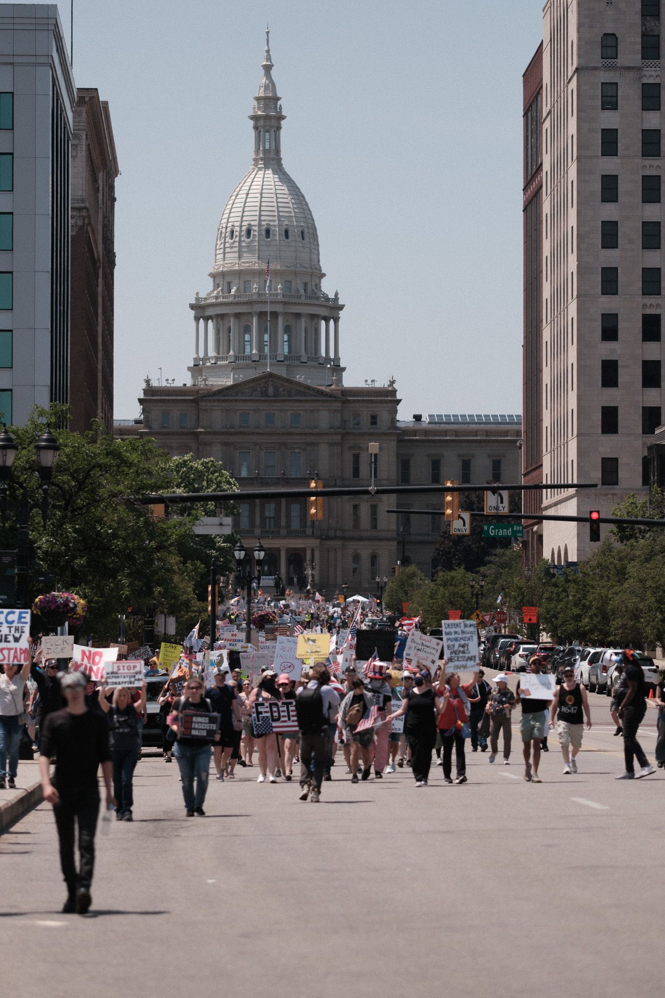 A large crowd gathers for a protest in front of a government building with a domed capitol.