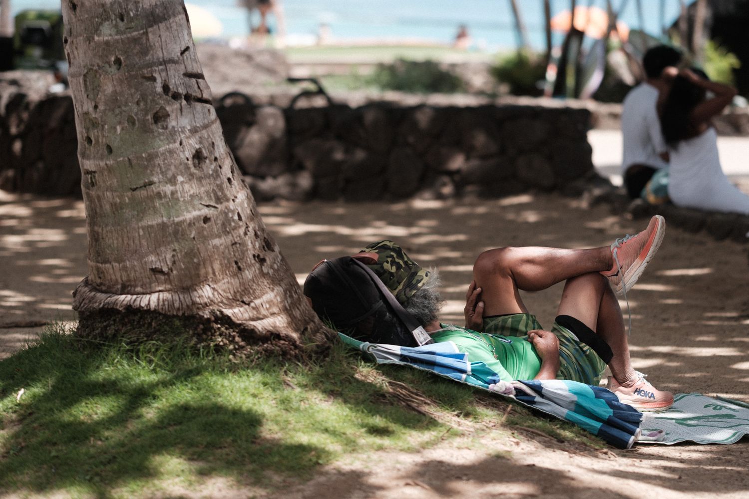Someone rests under the shade of a palm tree at a beach park on a sunny afternoon.