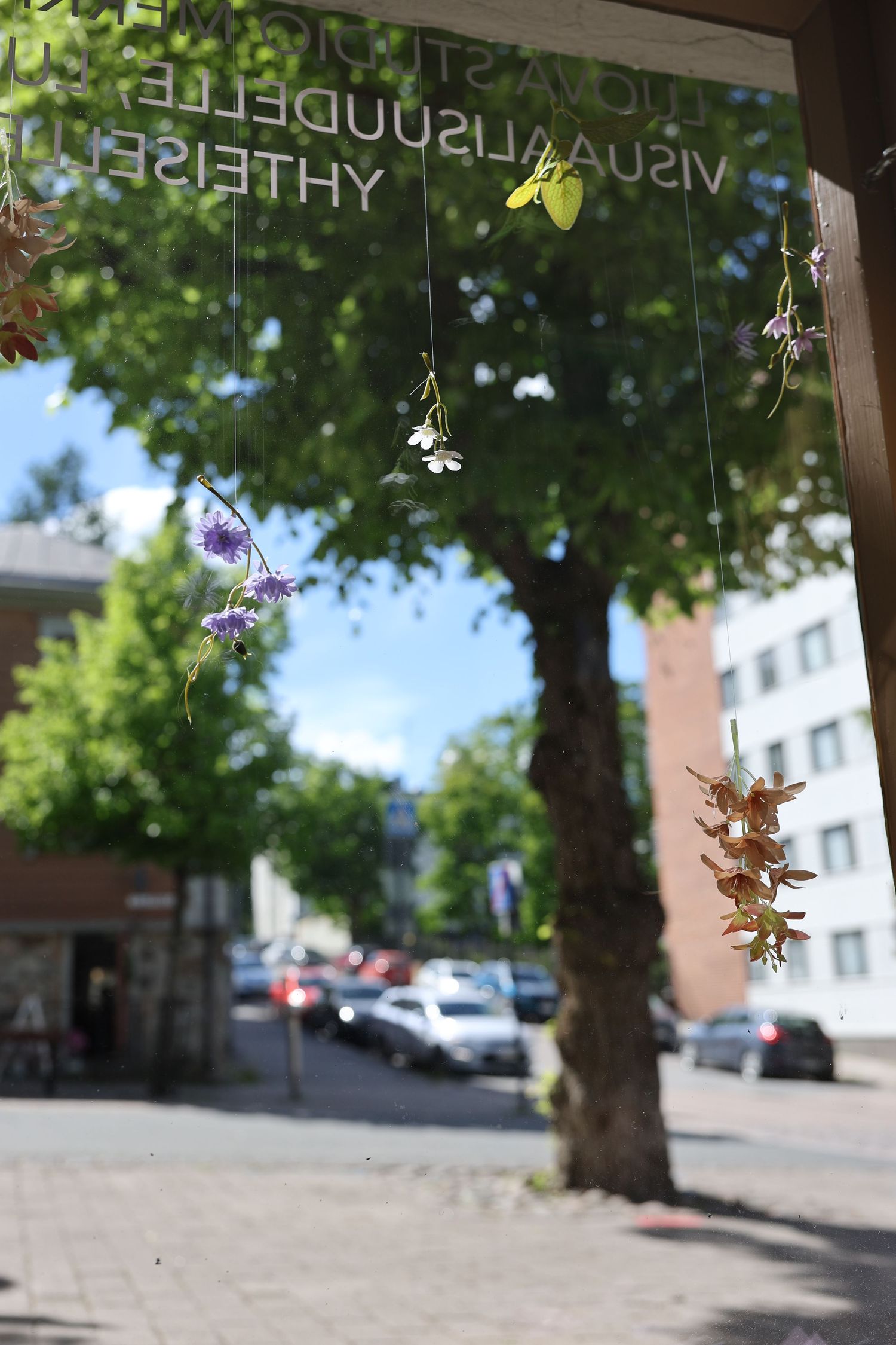 Flowers hanging on strings in front of a Finnish street scene with trees, parked cars, and buildings on a sunny day.