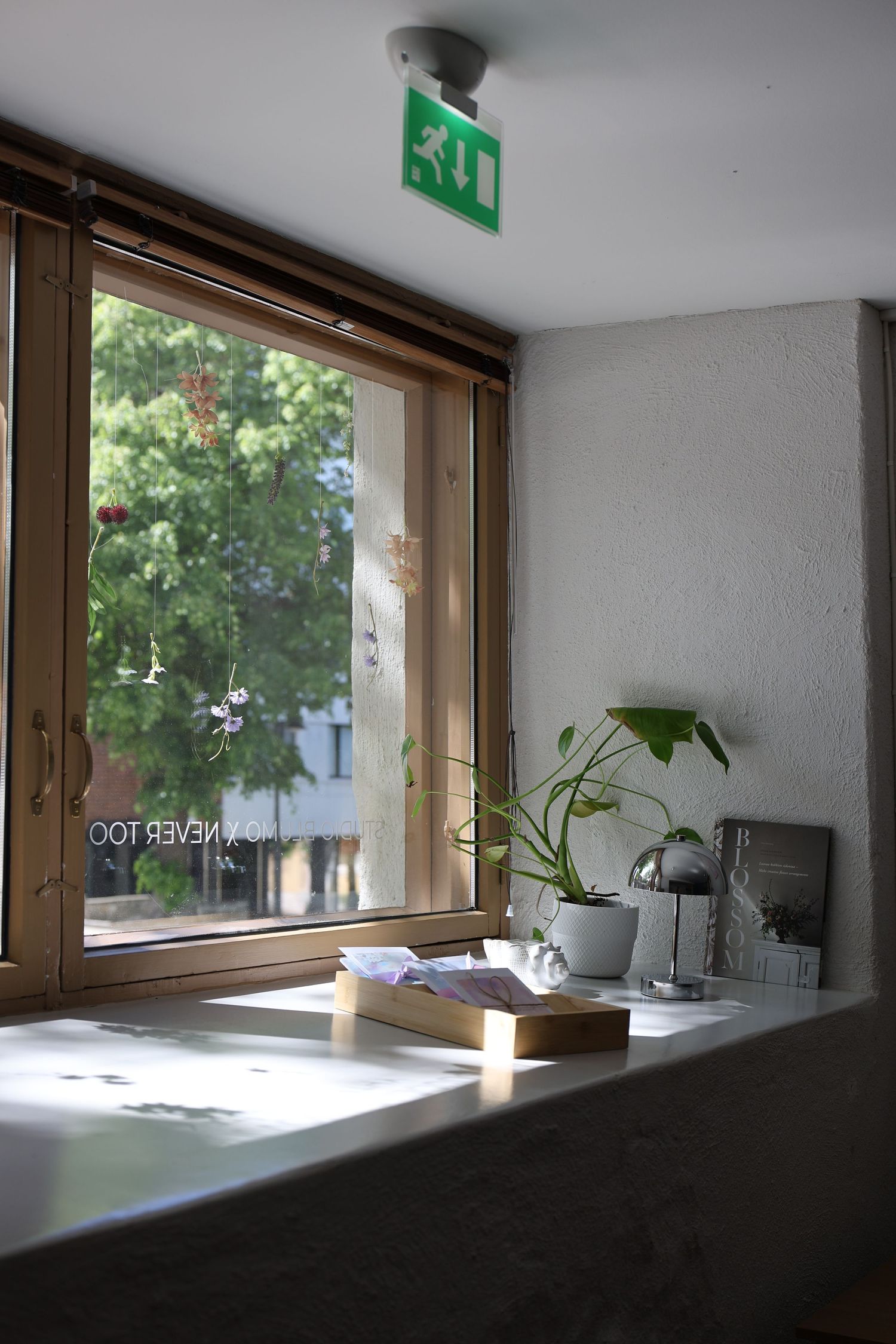 Sunlit bathroom window with wooden frame, green plants on sill, exit sign above, and lush trees visible outside.