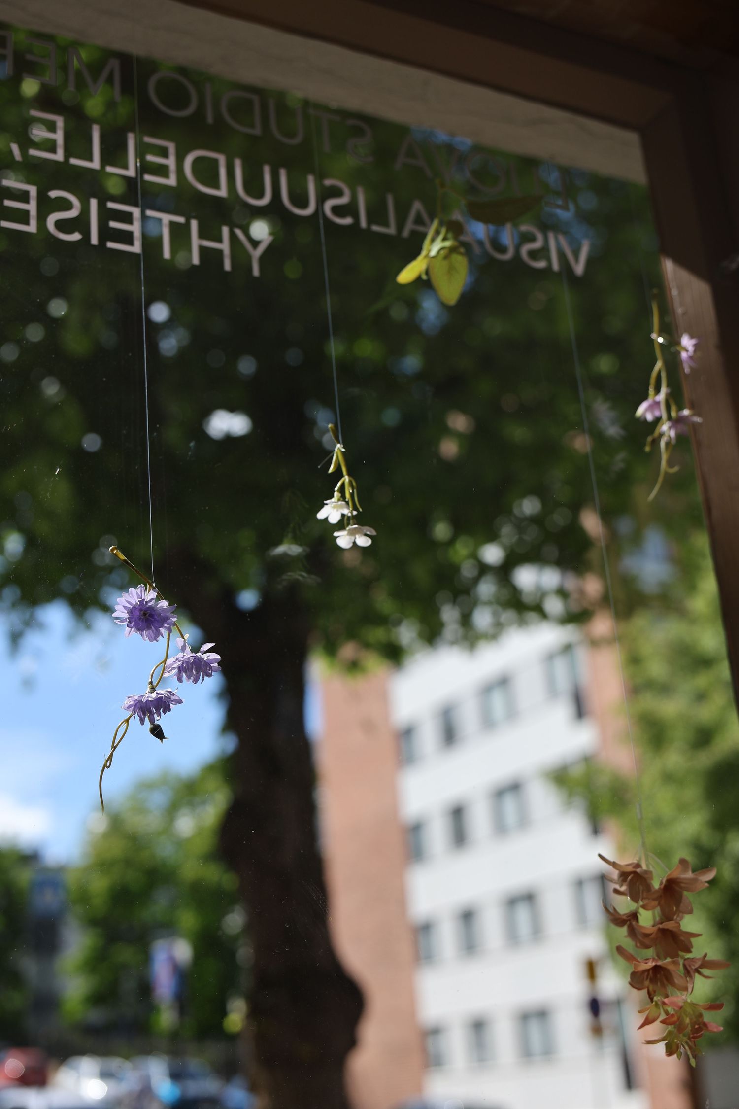 Delicate wildflowers hanging from strings in a window display with Finnish text, trees and buildings visible in background.