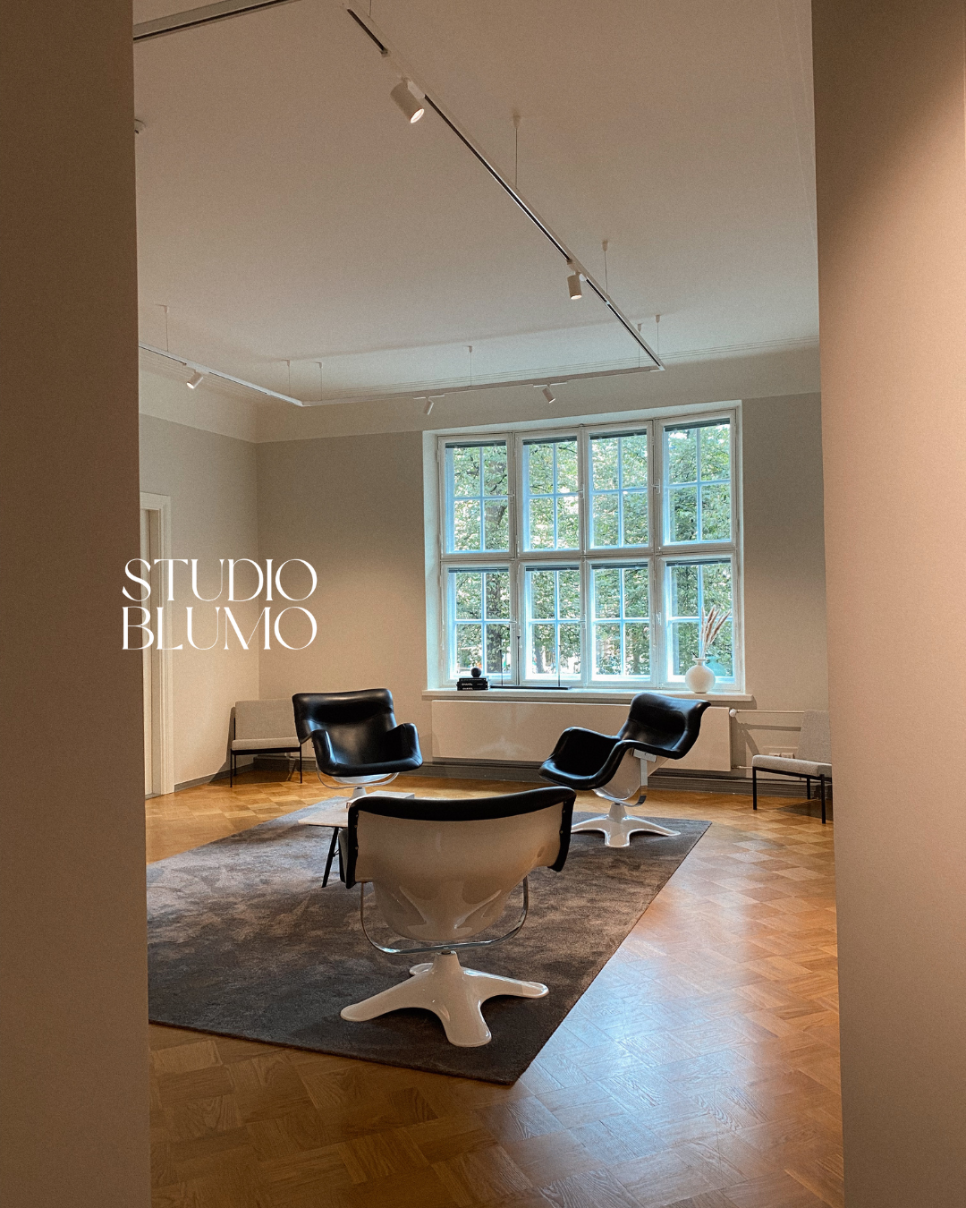 Modern office interior featuring black leather chairs and a curved table on a gray rug with track lighting and large window.