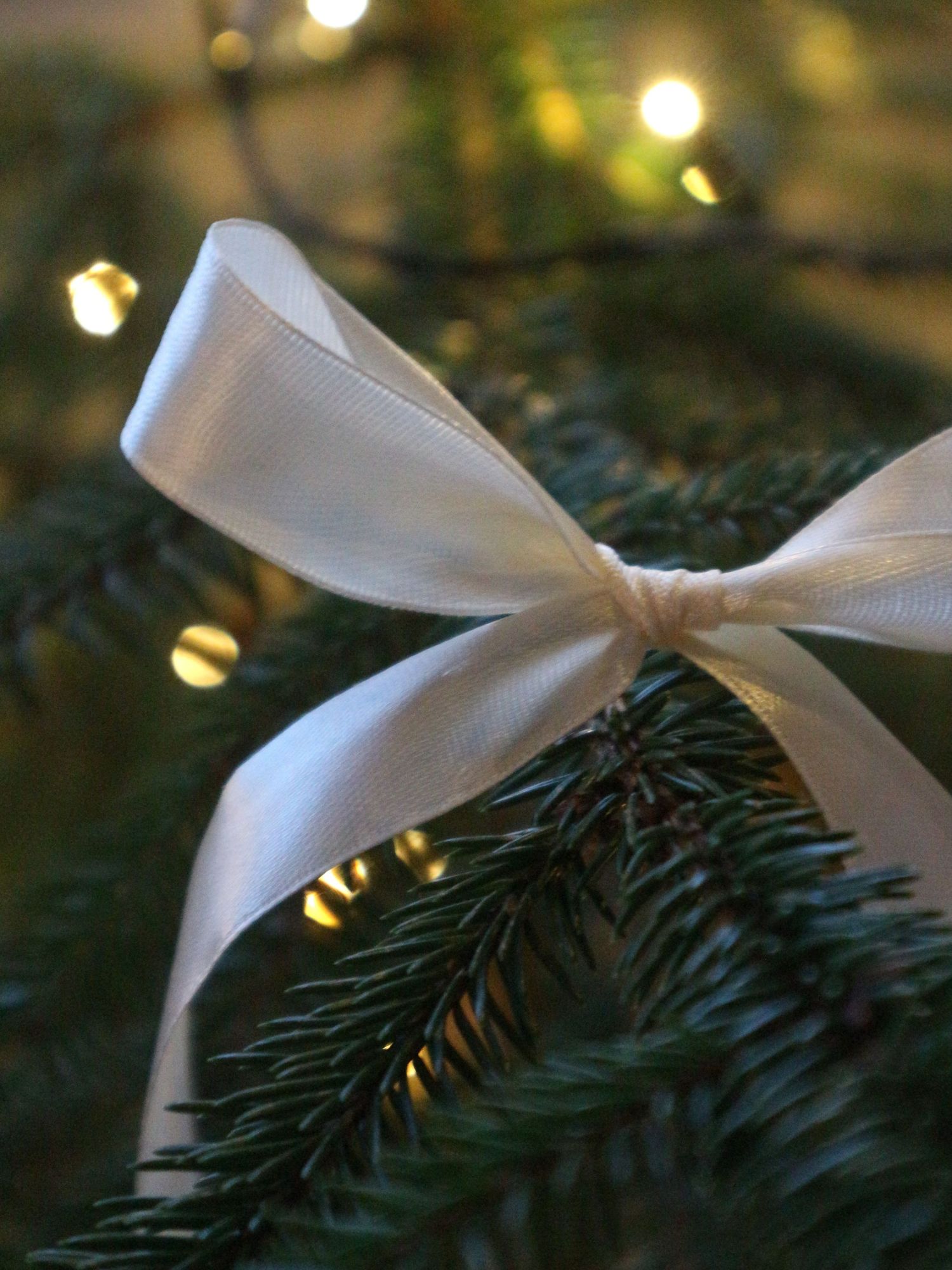 White satin ribbon decorates a green pine branch with twinkling bokeh lights in the background.