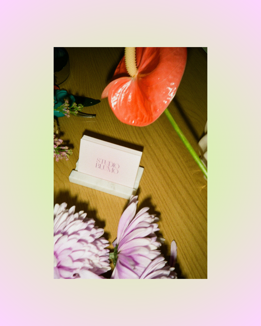 Pink and red anthurium flowers with stems arranged artistically on a wooden surface with a small white note card.
