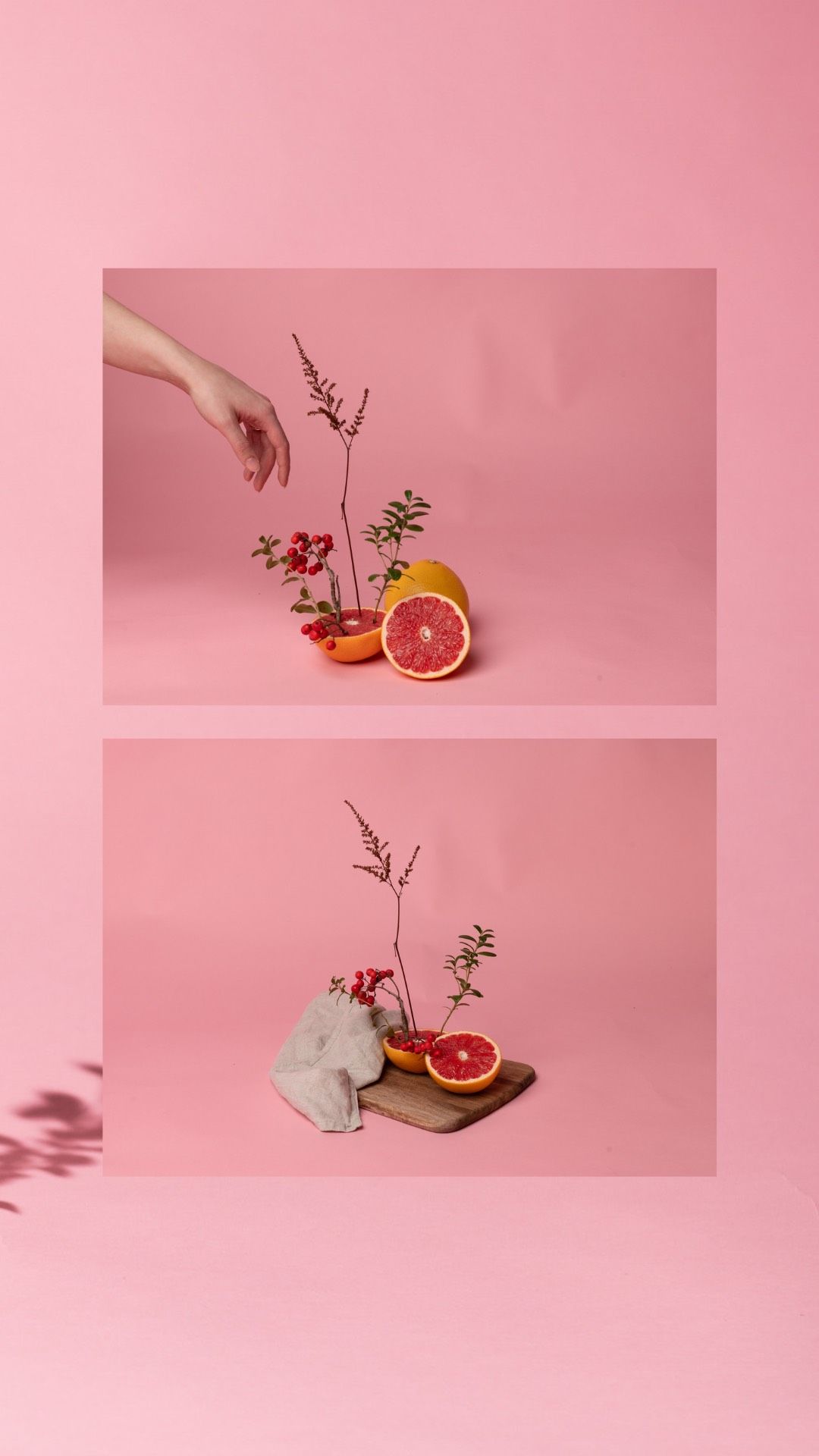 A hand arranges red flowers and grapefruit halves with branches on a pink background, shown in two styled compositions.