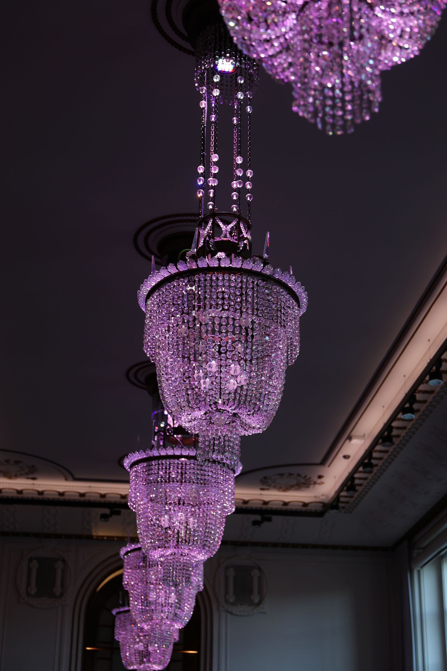 Elegant crystal chandelier with purple lighting hanging from ornate ceiling in a luxurious interior space.