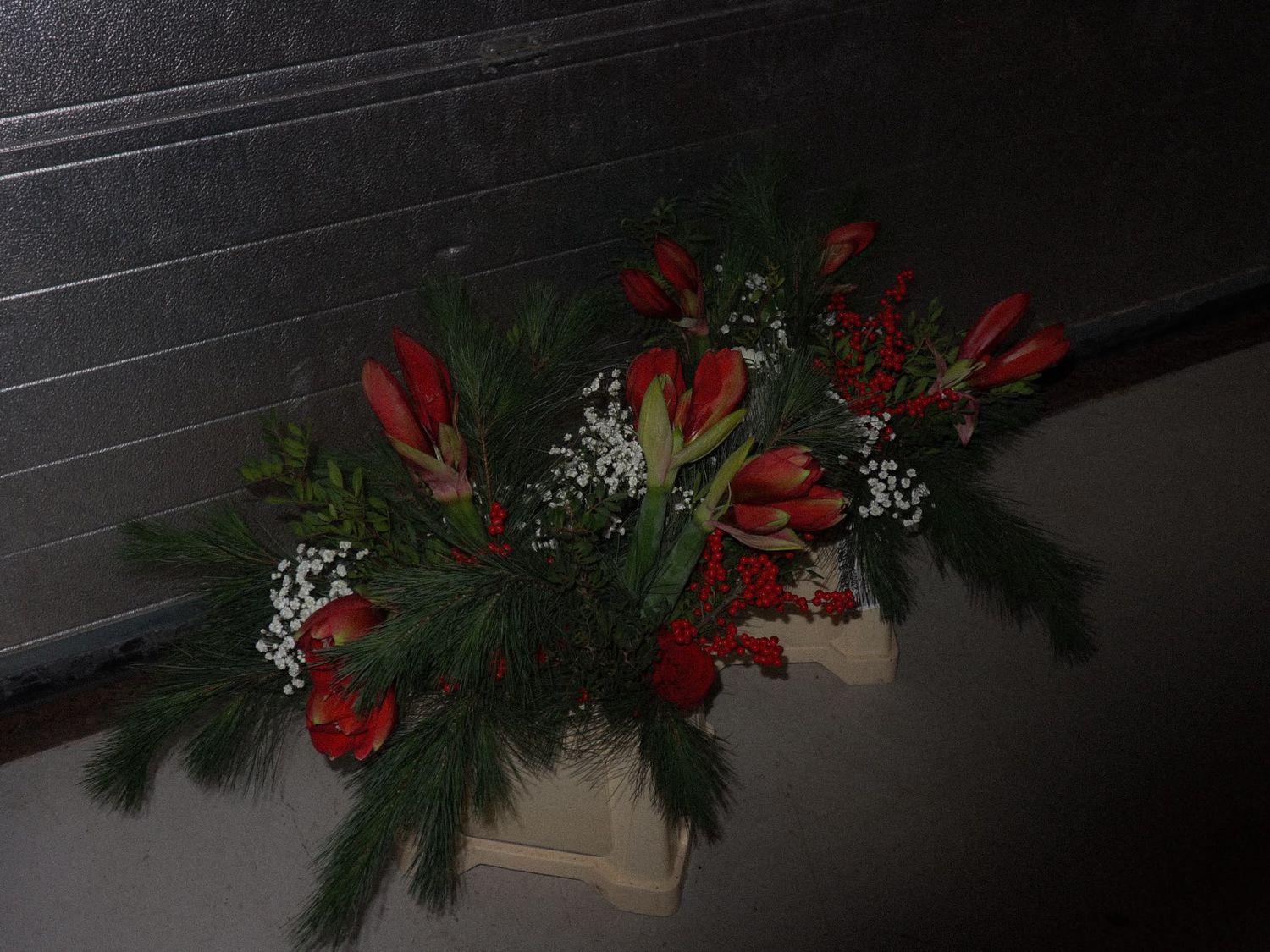 Red tulips and white baby's breath arranged with pine branches in a festive holiday floral centerpiece display.