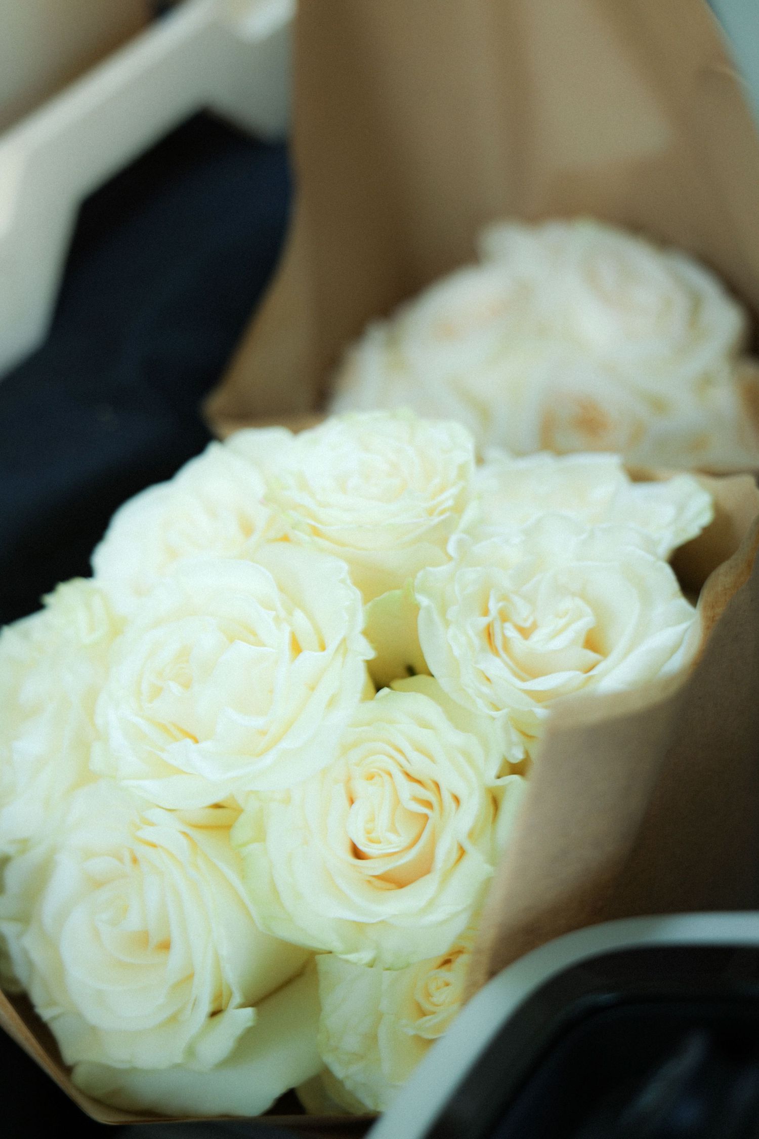 A series of close-up shots showing delicate white roses with soft, creamy petals against a blurred background.