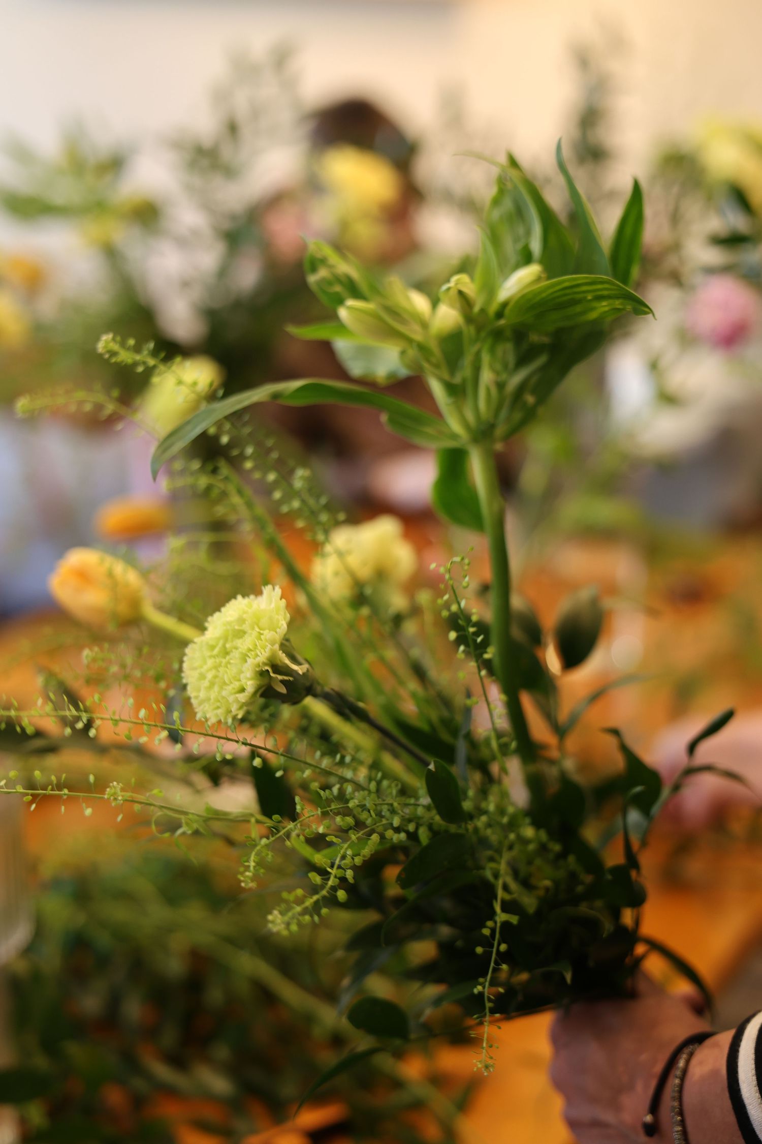 Close-up macro photography of green plants and flowers with soft bokeh background in warm lighting.