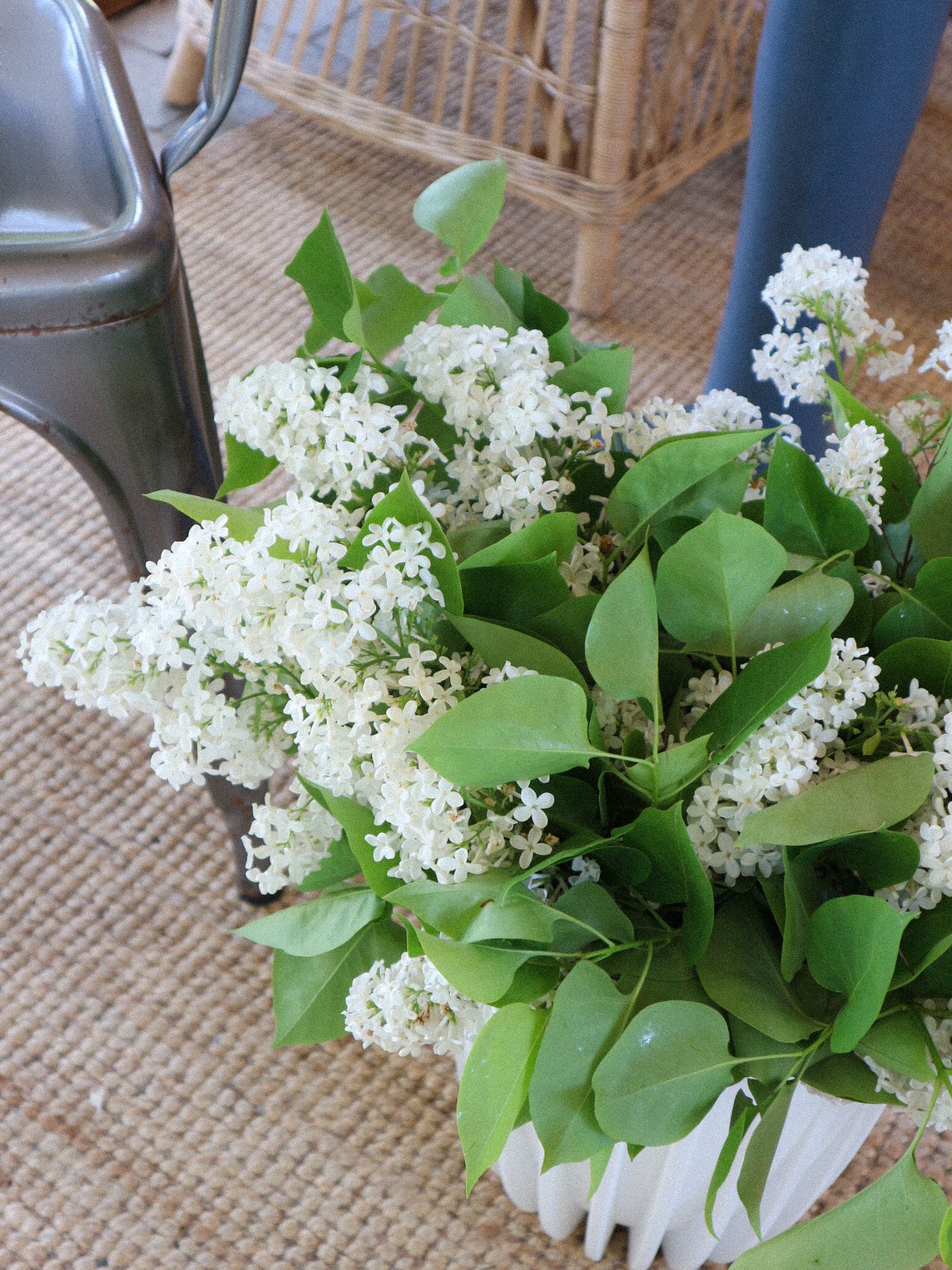 Fresh white lilac blossoms with green leaves arranged in simple metal vases against a rustic burlap background.