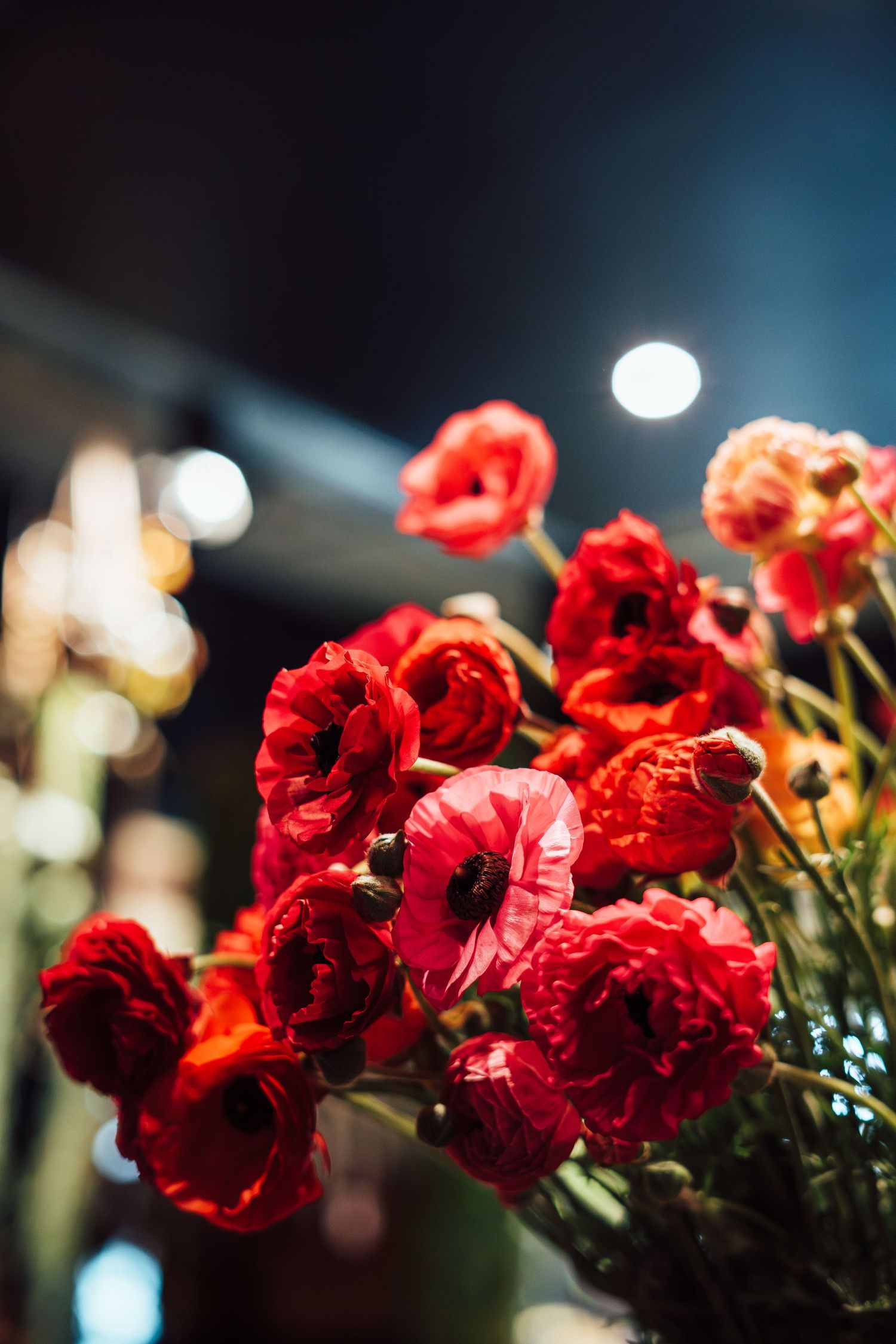 Photos de fleuristes.