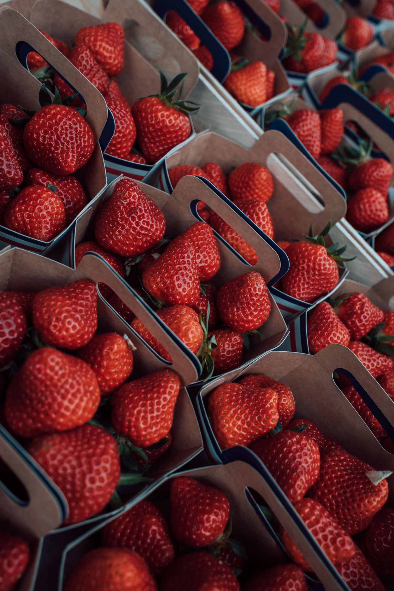 Fresh red strawberries displayed in cardboard punnets at a farmers market stall.