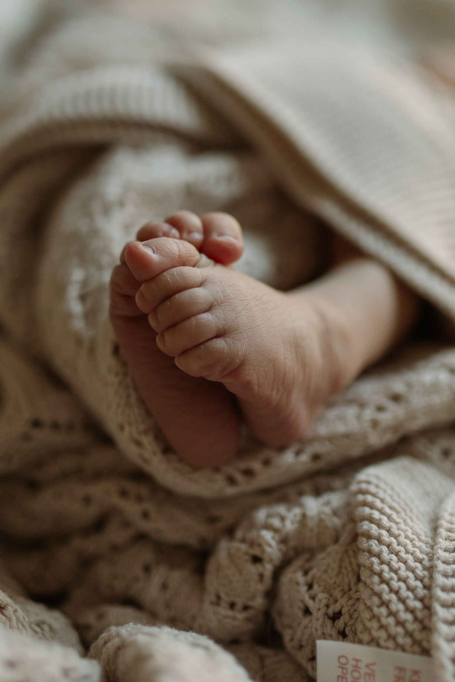 Delicate newborn baby feet peeking out from a soft cream knitted blanket.
