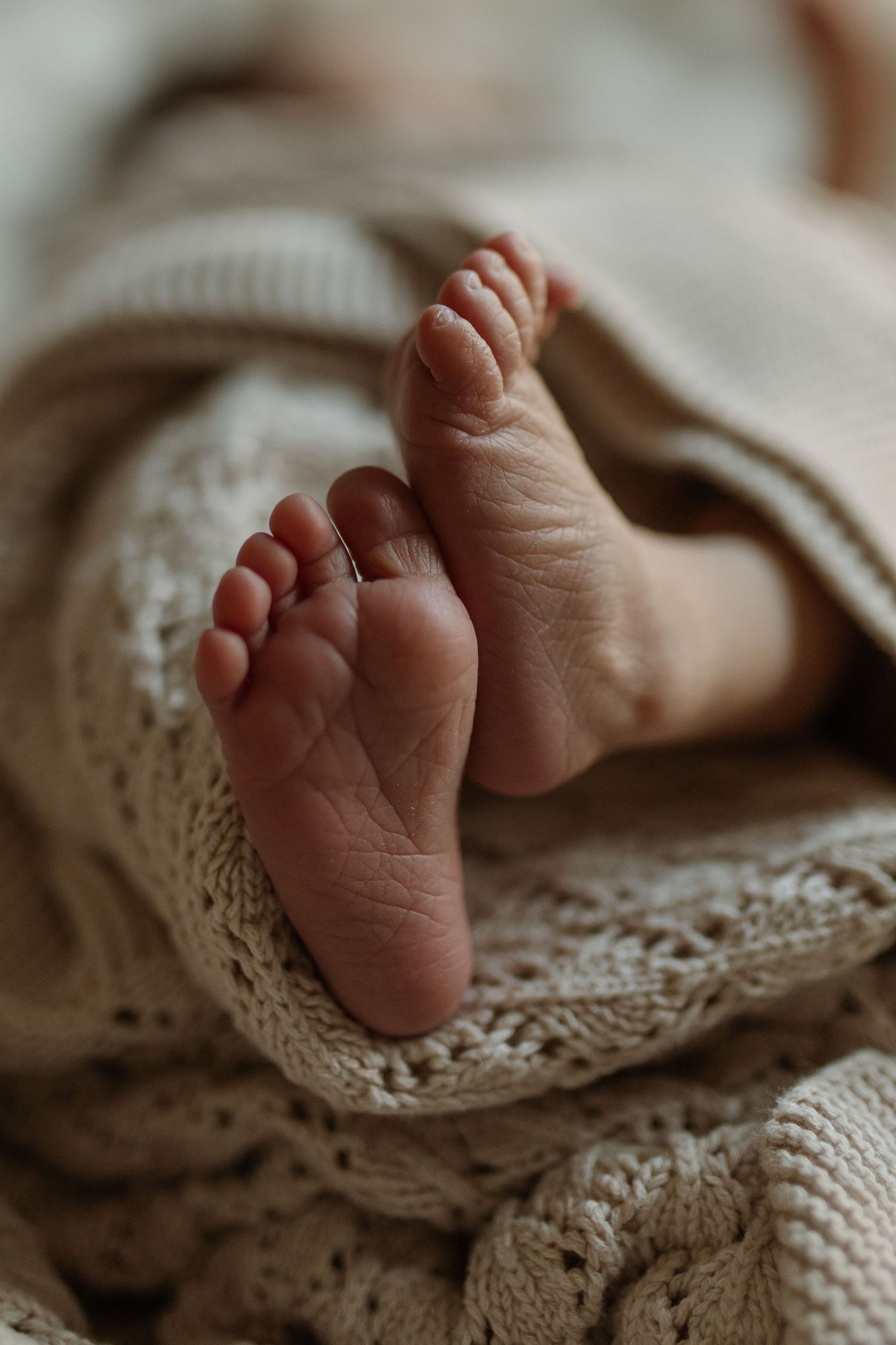 Close-up of tiny newborn baby feet peeking out from a soft cream knitted blanket.