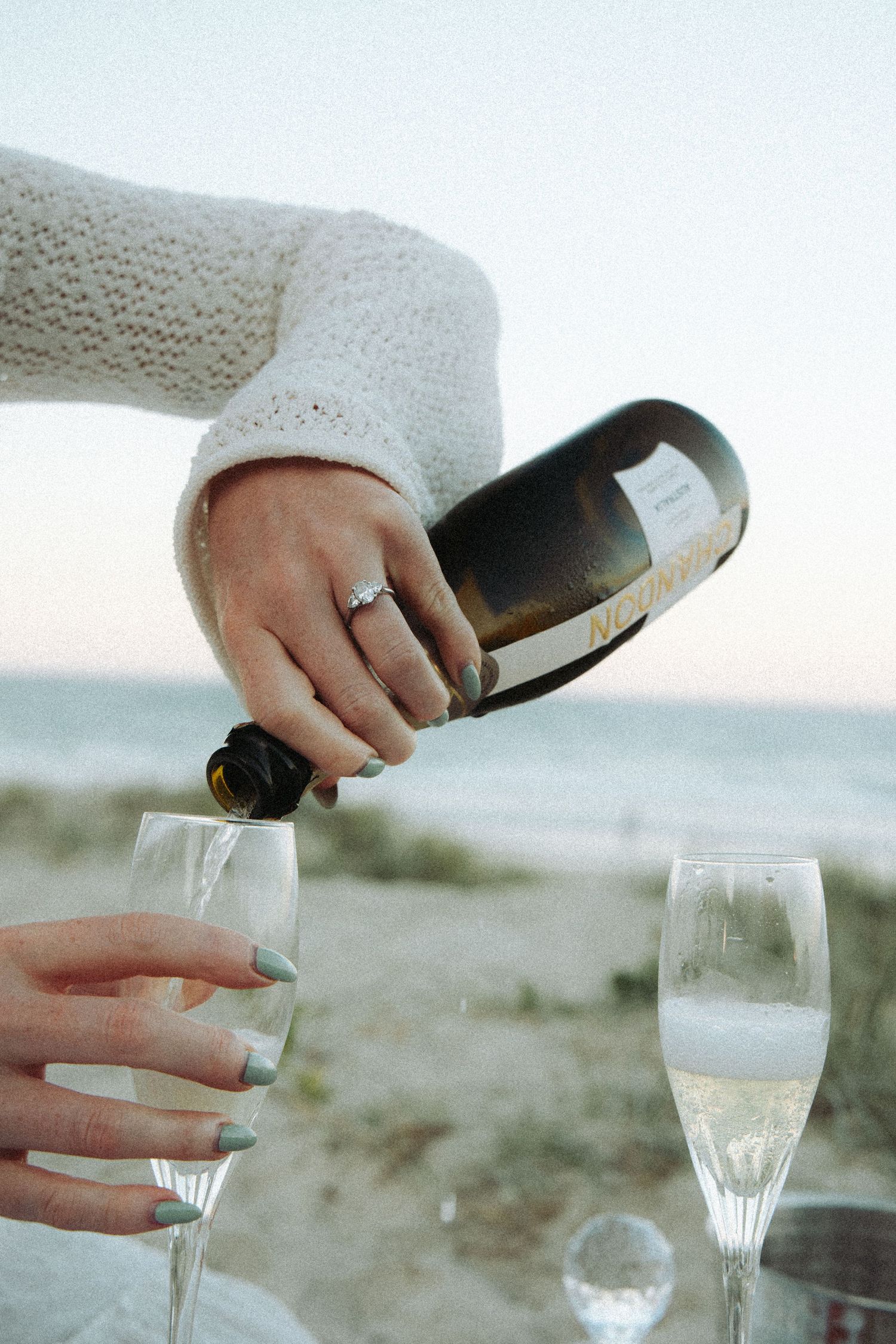 Beach Champagne Celebration, Beach Picnic Celebration
