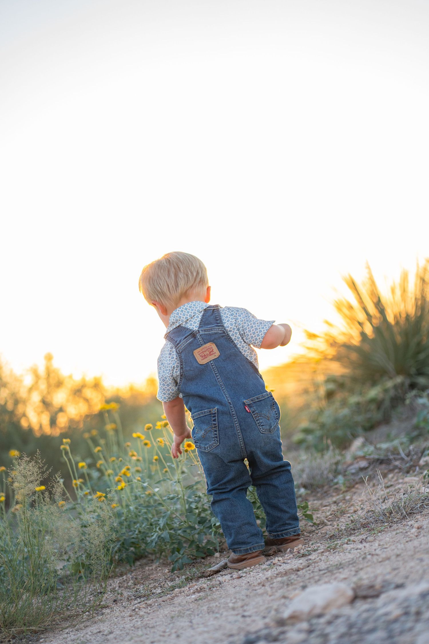 Portrait of baby in West Texas.
