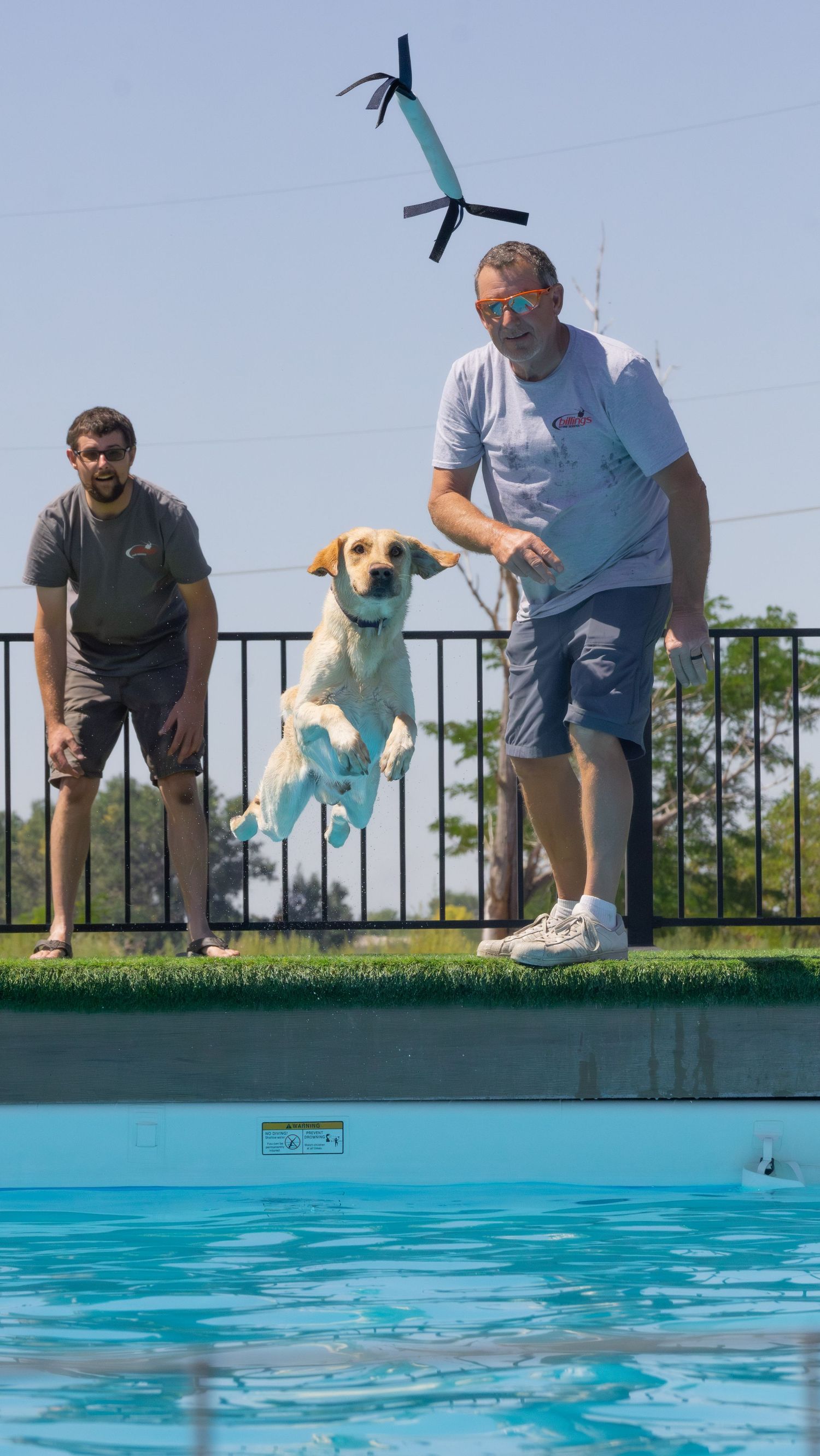 Dog jumping from a dock during a dock diving event in Idaho