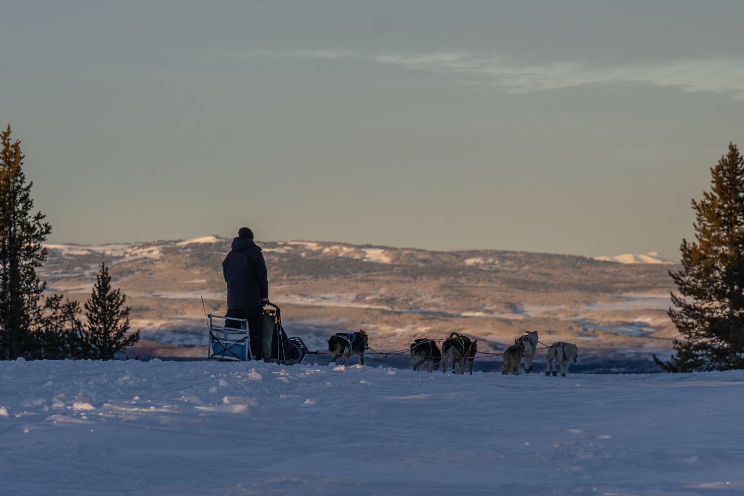 Musher and sled dog team crossing a snowy landscape at sunrise during the Utah Uinta Ultimate 100-mile race in Idaho