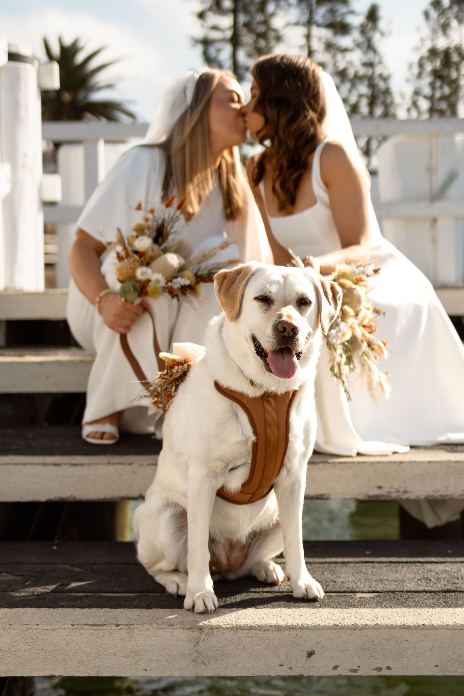 Authentic intimate wedding photography in Jervis Bay, capturing heartfelt moments against stunning beach, bush and coastal backdrops.
