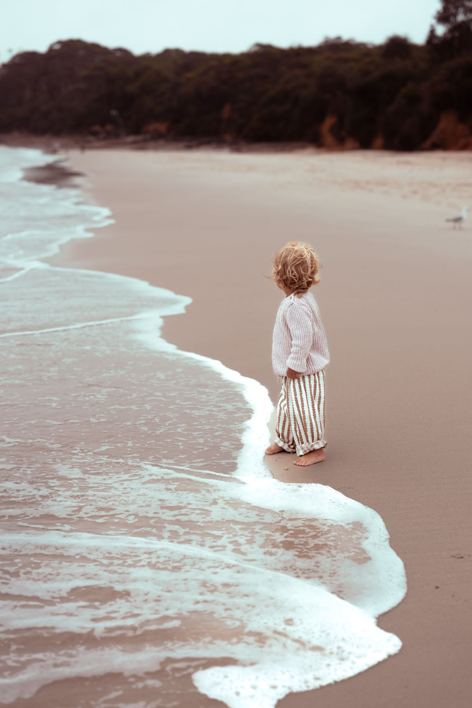 Authentic & Creative Photography in Jervis Bay capturing genuine connection against beautiful beach, bush and rainforest backdrops.