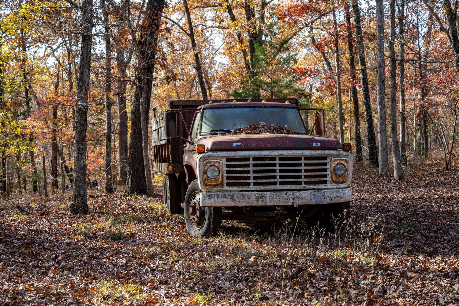 old Ford truck parked with autumn trees in the background