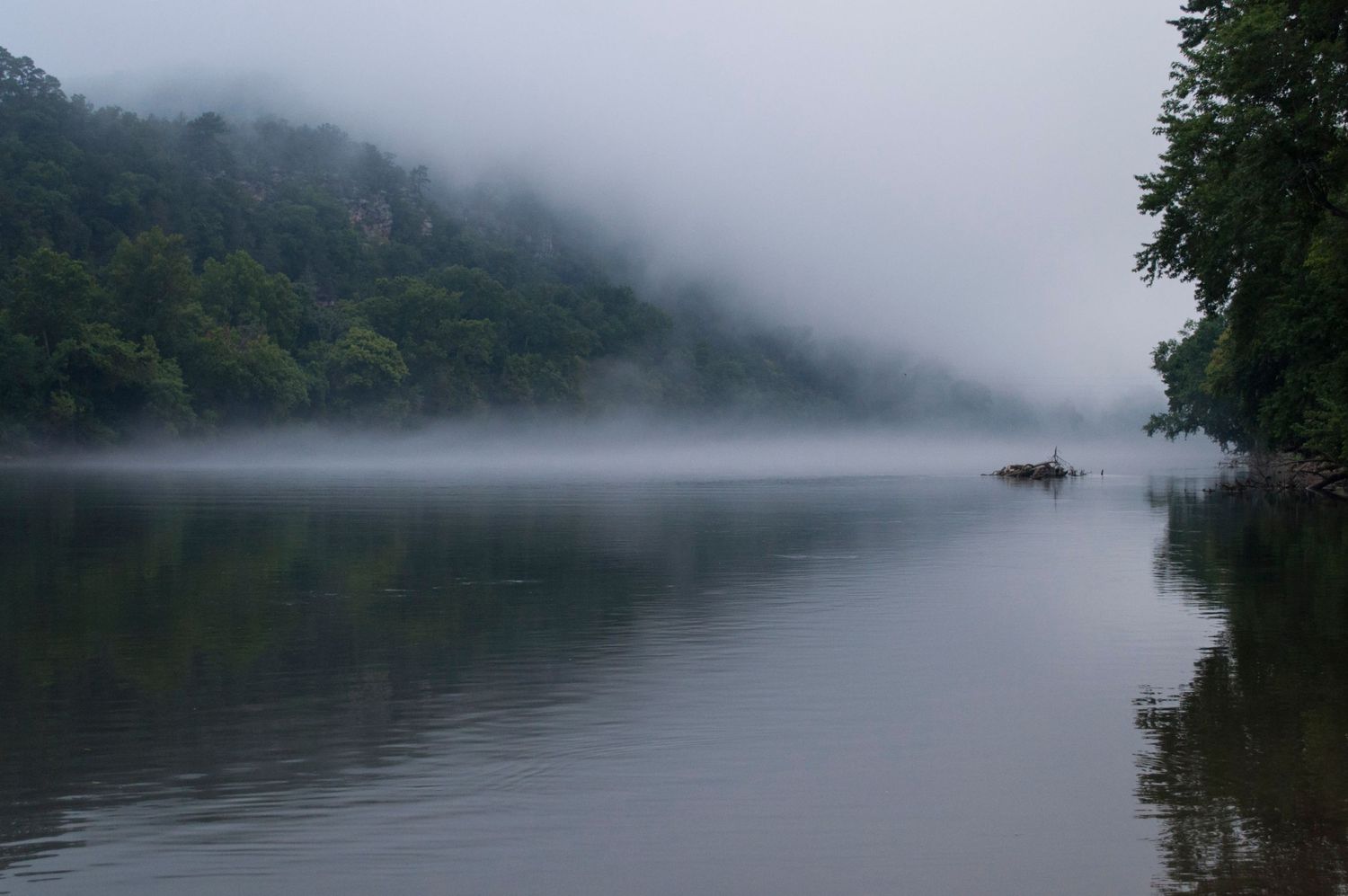 fog on a river