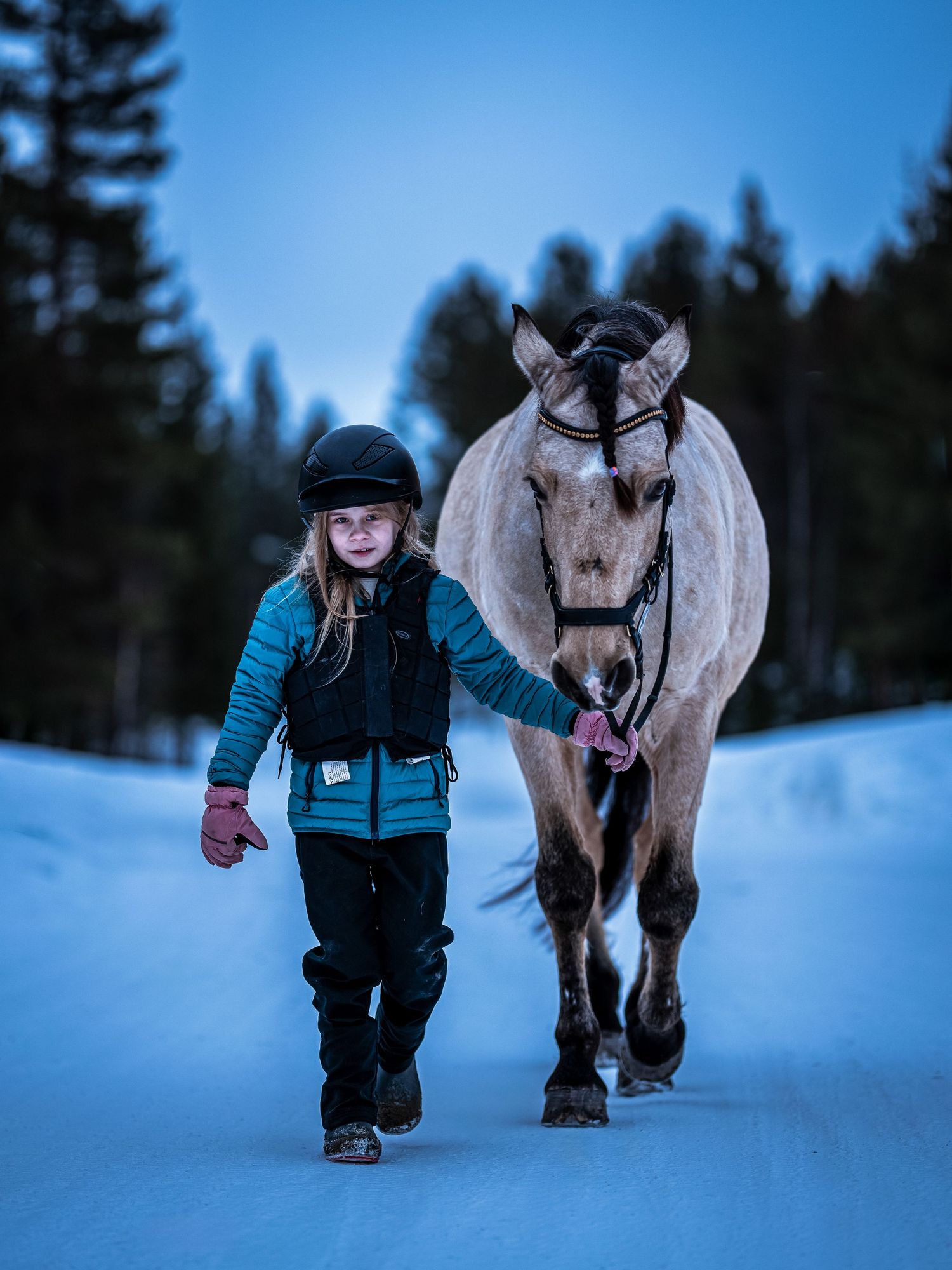 Person i blå vinterjacka går bredvid en vit häst i snöigt landskap i skymningen.