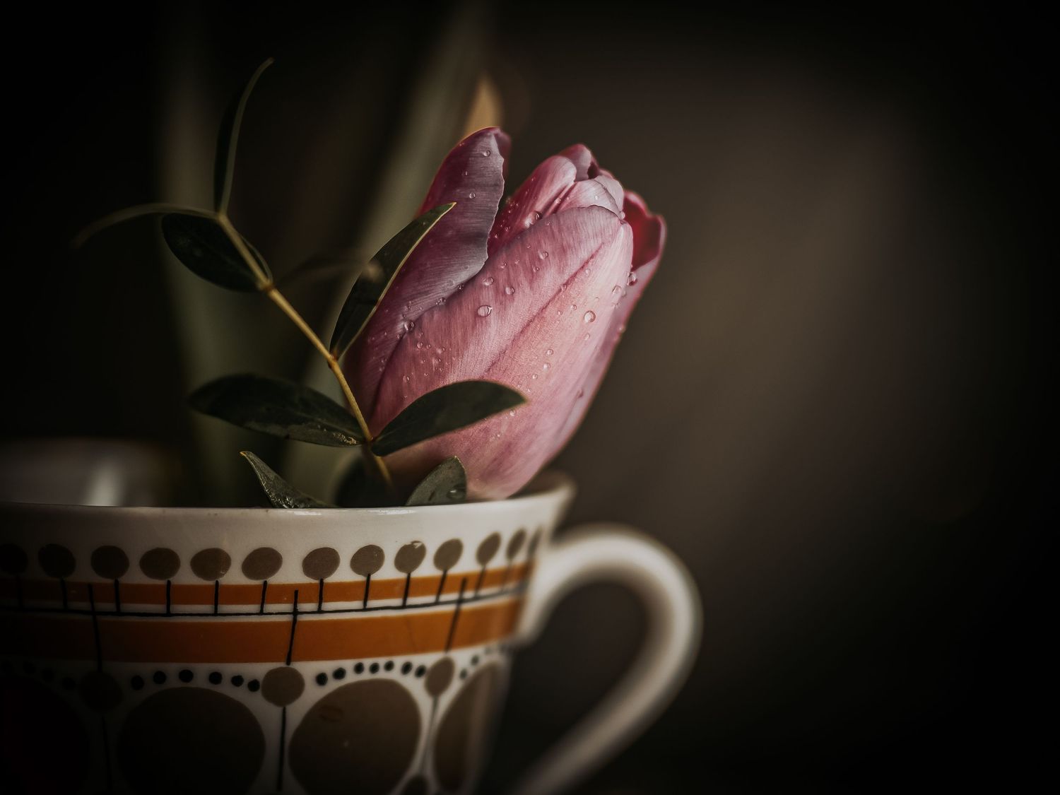 Pink tulips in vintage patterned teacup with moody lighting and dark background.