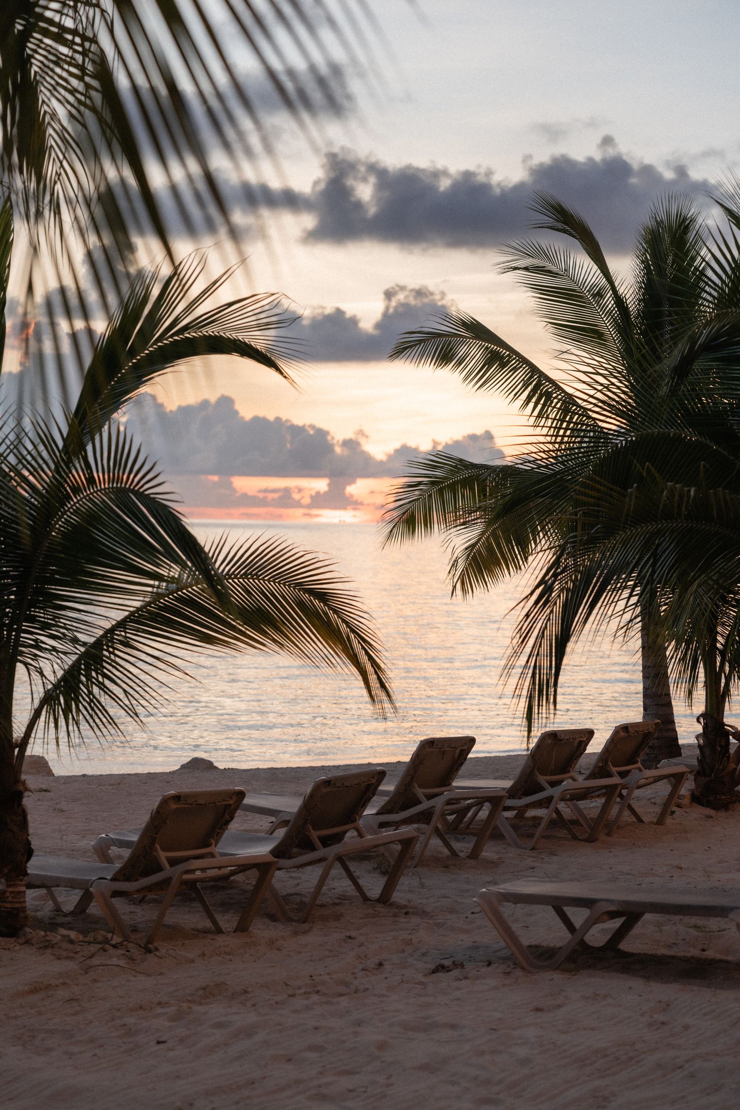 Beach lounge chairs line the sand beneath palm trees during a romantic tropical sunset.