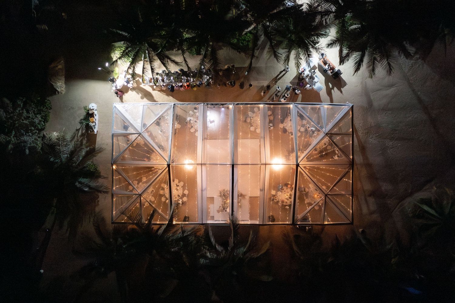 Illuminated glass greenhouse structure at night surrounded by tropical foliage.