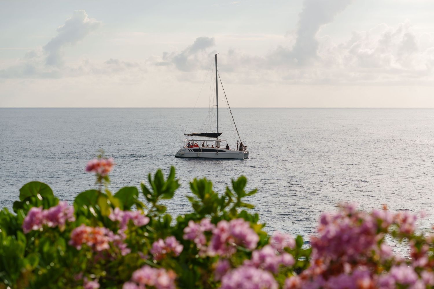 A sailboat anchored in tranquil blue waters, framed by pink bougainvillea flowers in the foreground.