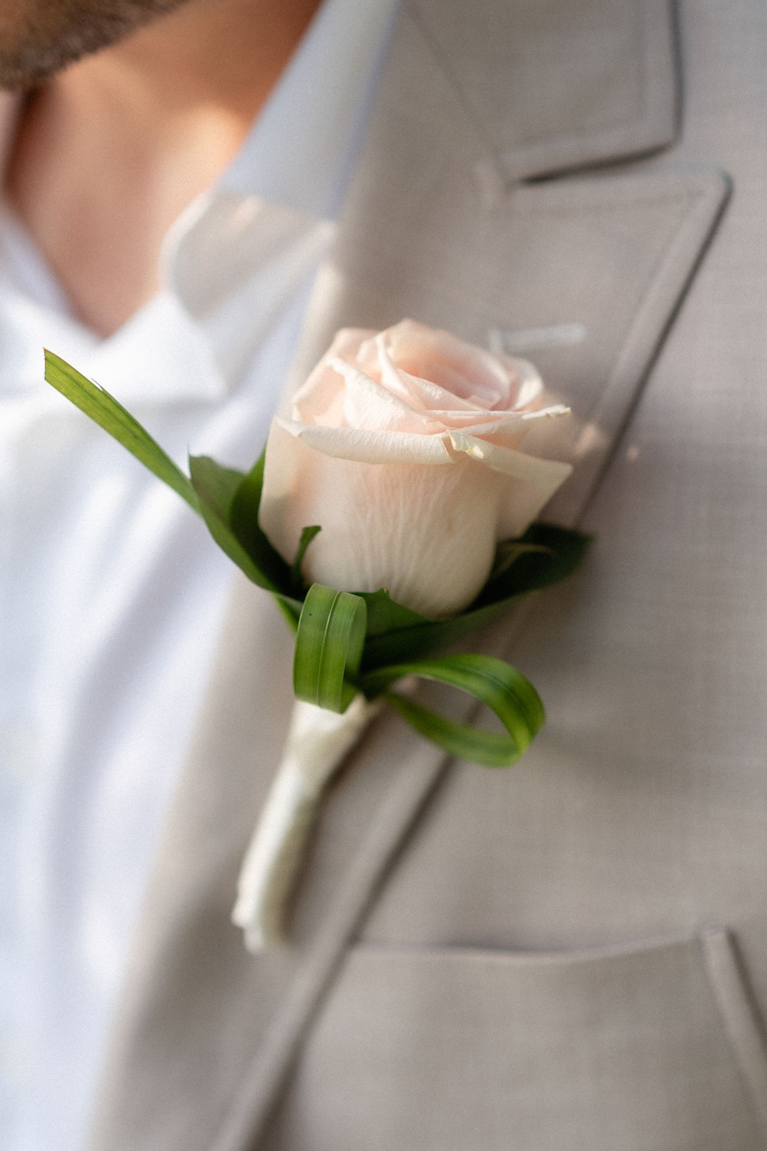 A delicate pale pink rose boutonniere pinned to a light gray suit jacket.