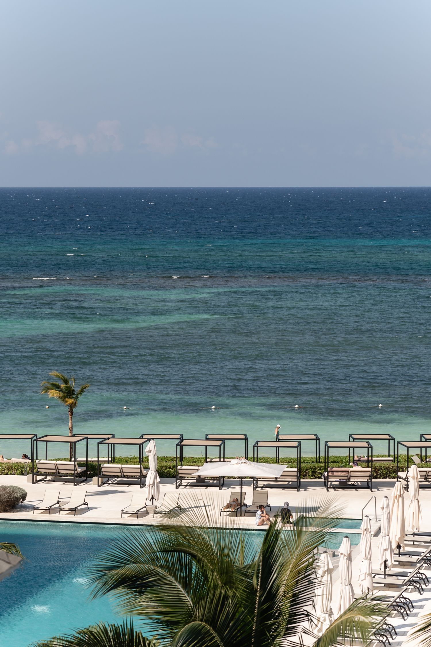 Tropical resort view with infinity pool overlooking turquoise ocean and palm trees.