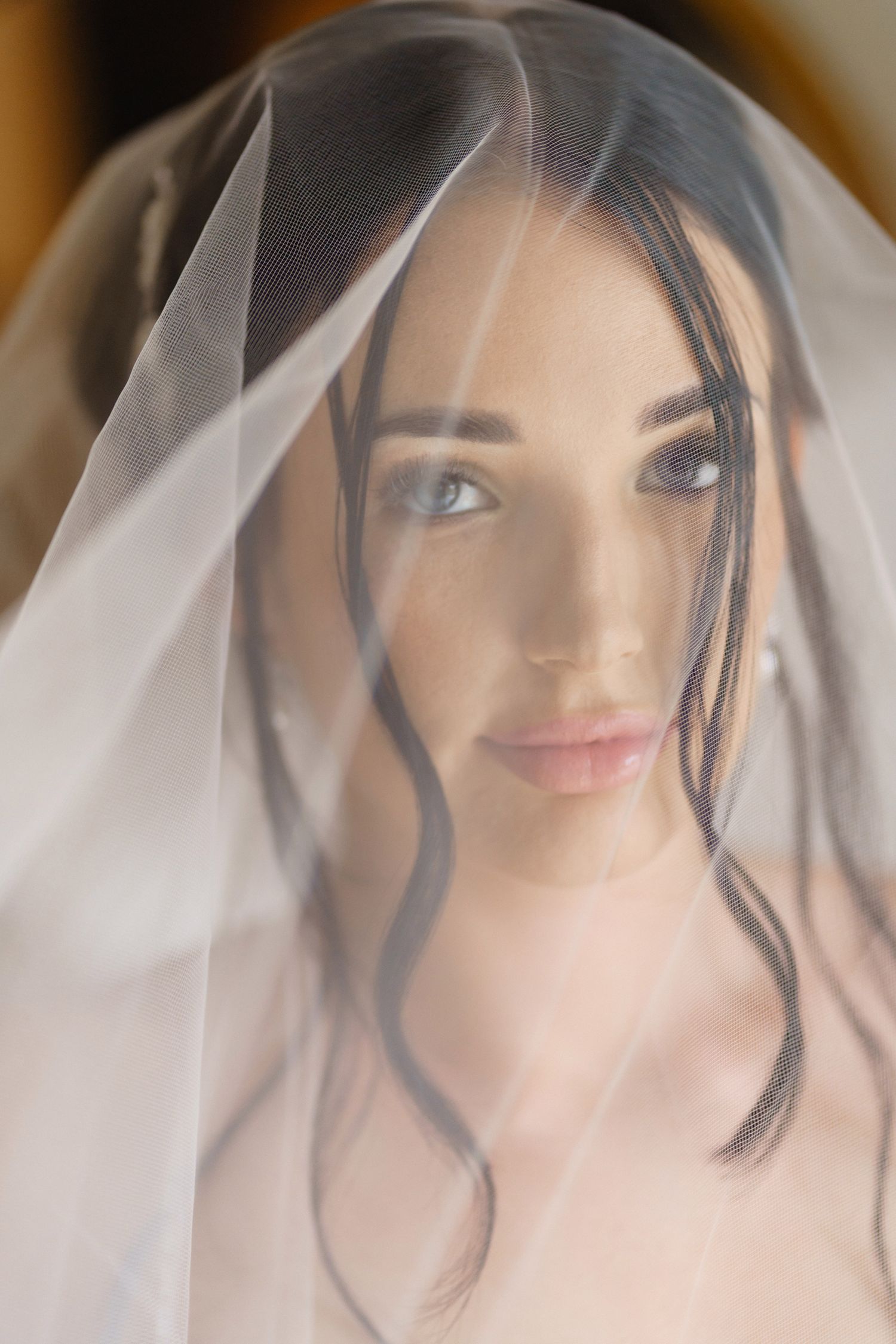 Close-up portrait through sheer wedding veil showing soft romantic styling.