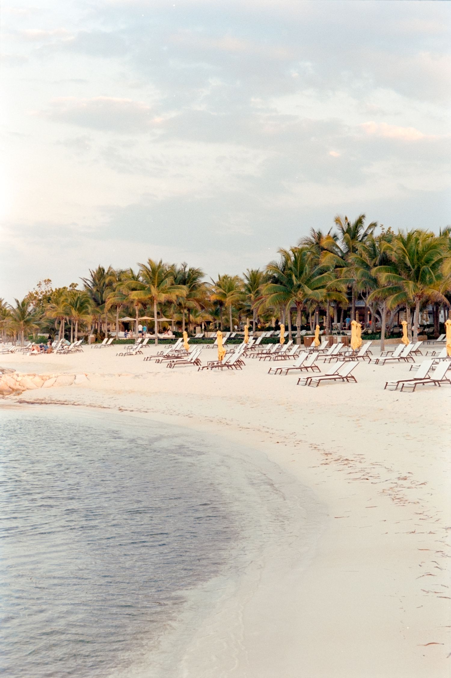 Beach chairs line a pristine tropical shoreline with palm trees and turquoise waters.