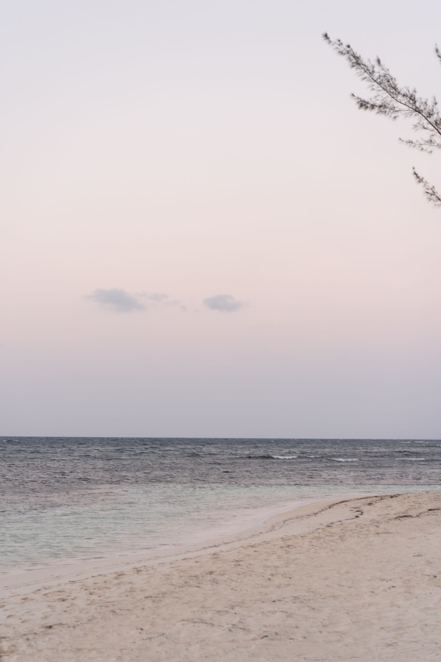 Serene beach landscape with soft pink sky and gentle waves at dusk.